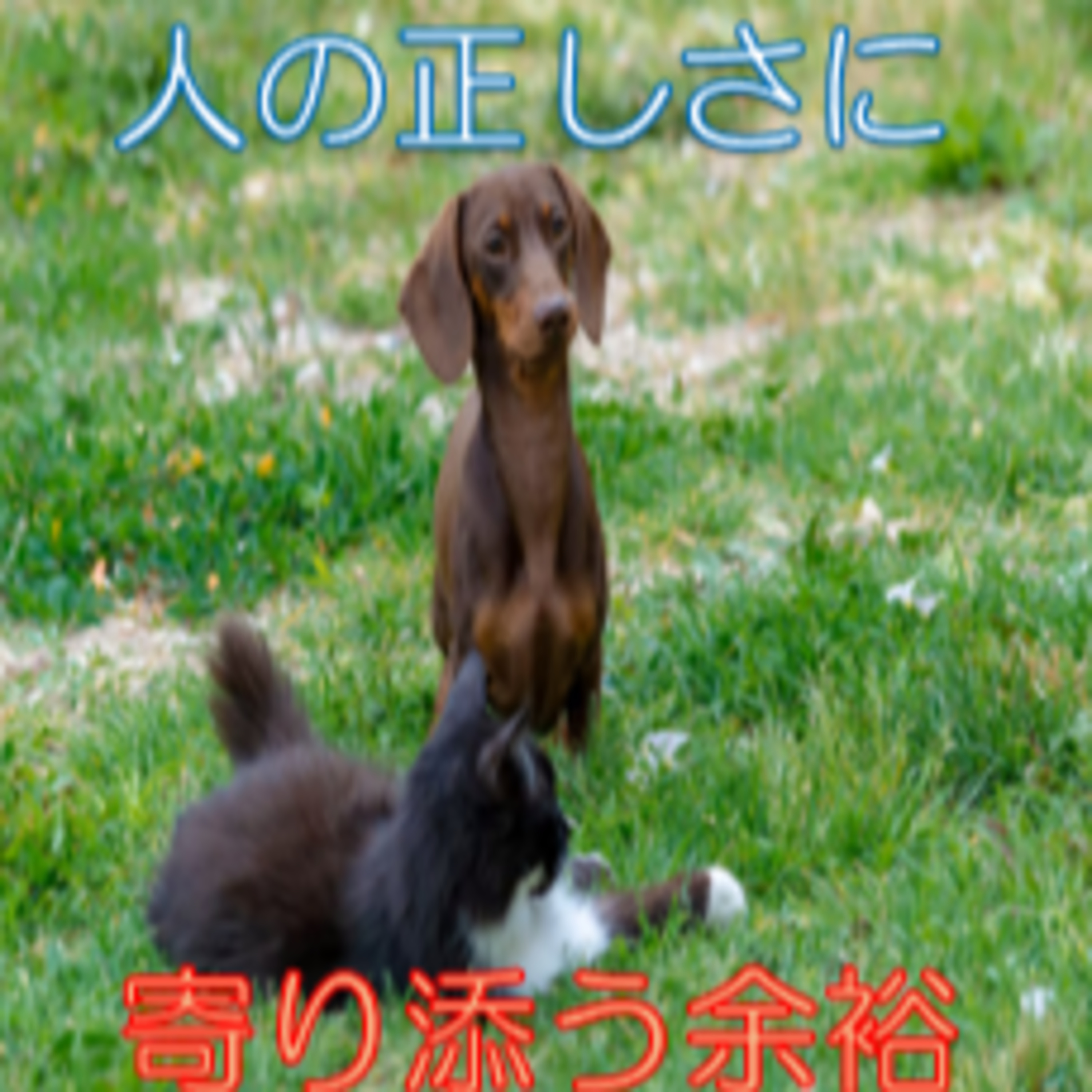 不要な敵を作らない 正しさや正義