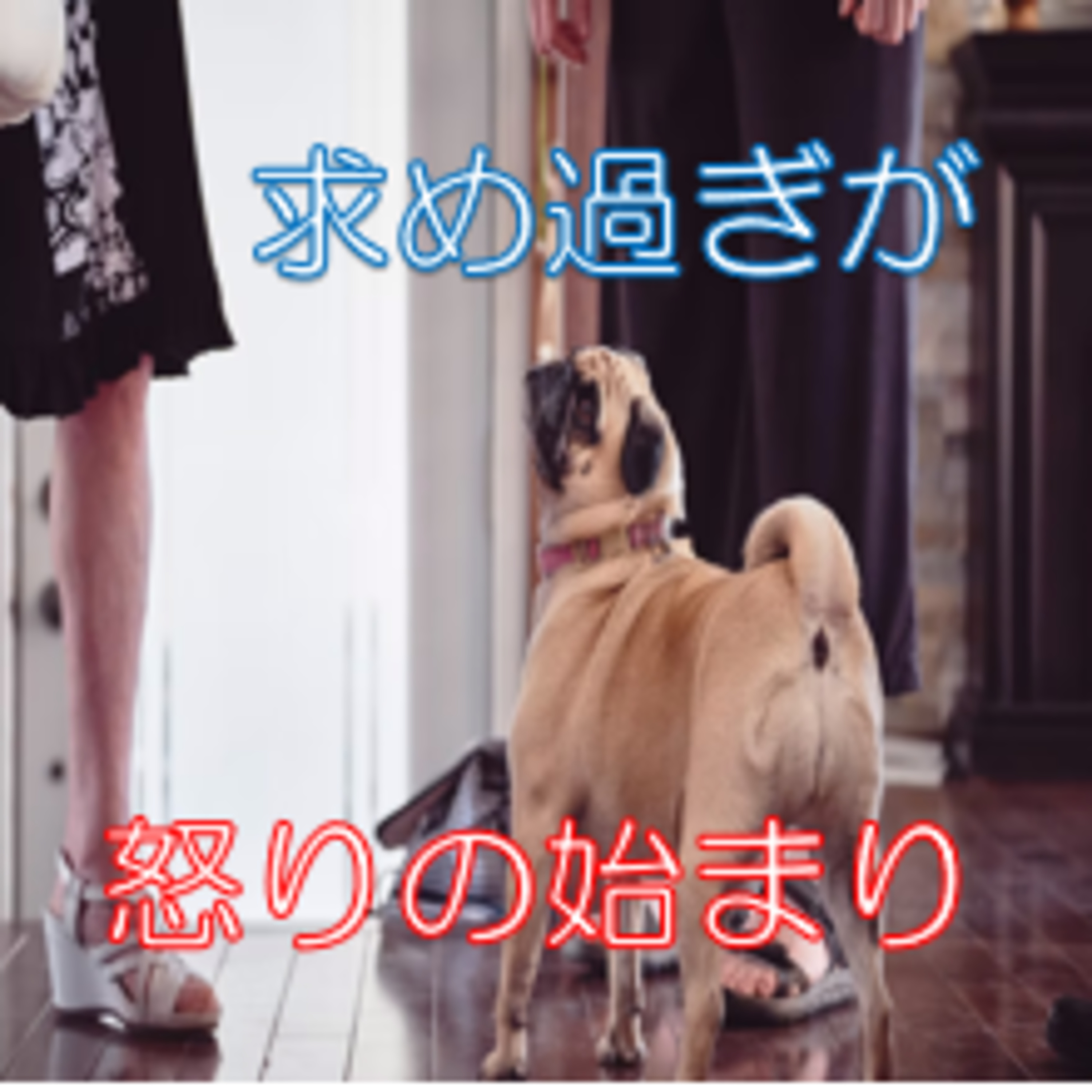人に期待し過ぎない 怒りとストレス