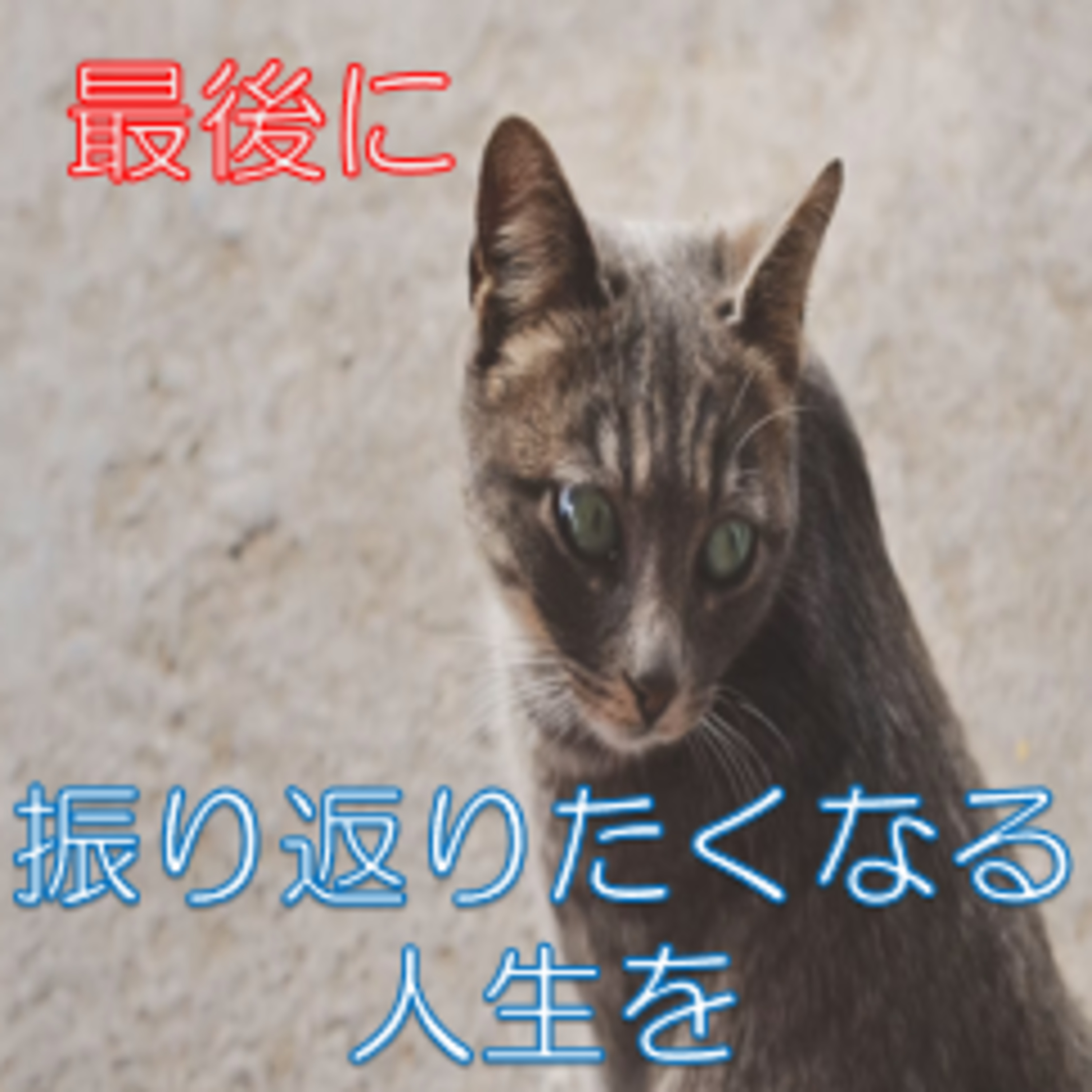 意味を考え始めたら 楽しみにとっておく♪