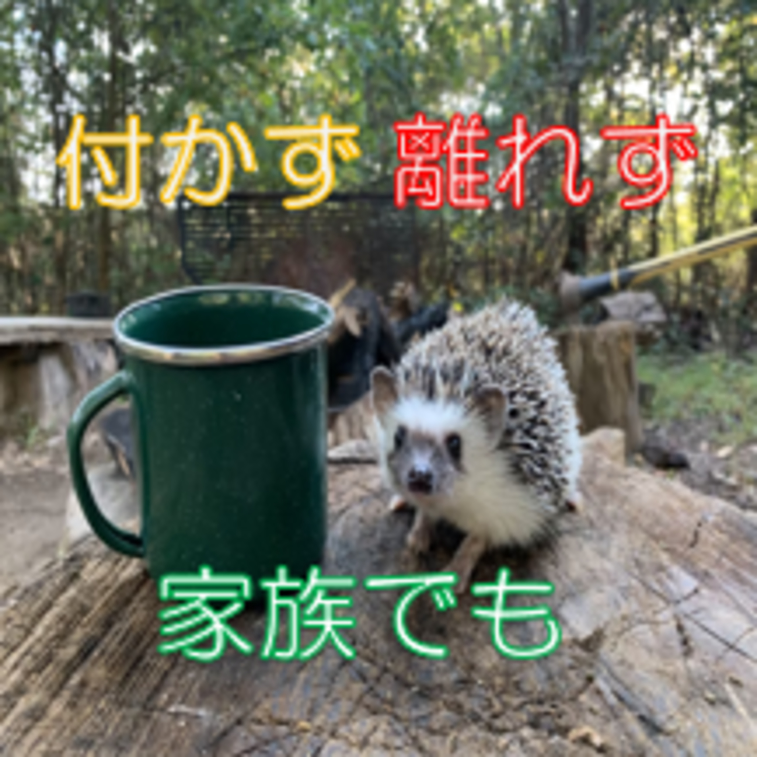 折り合いを付ける 人間関係