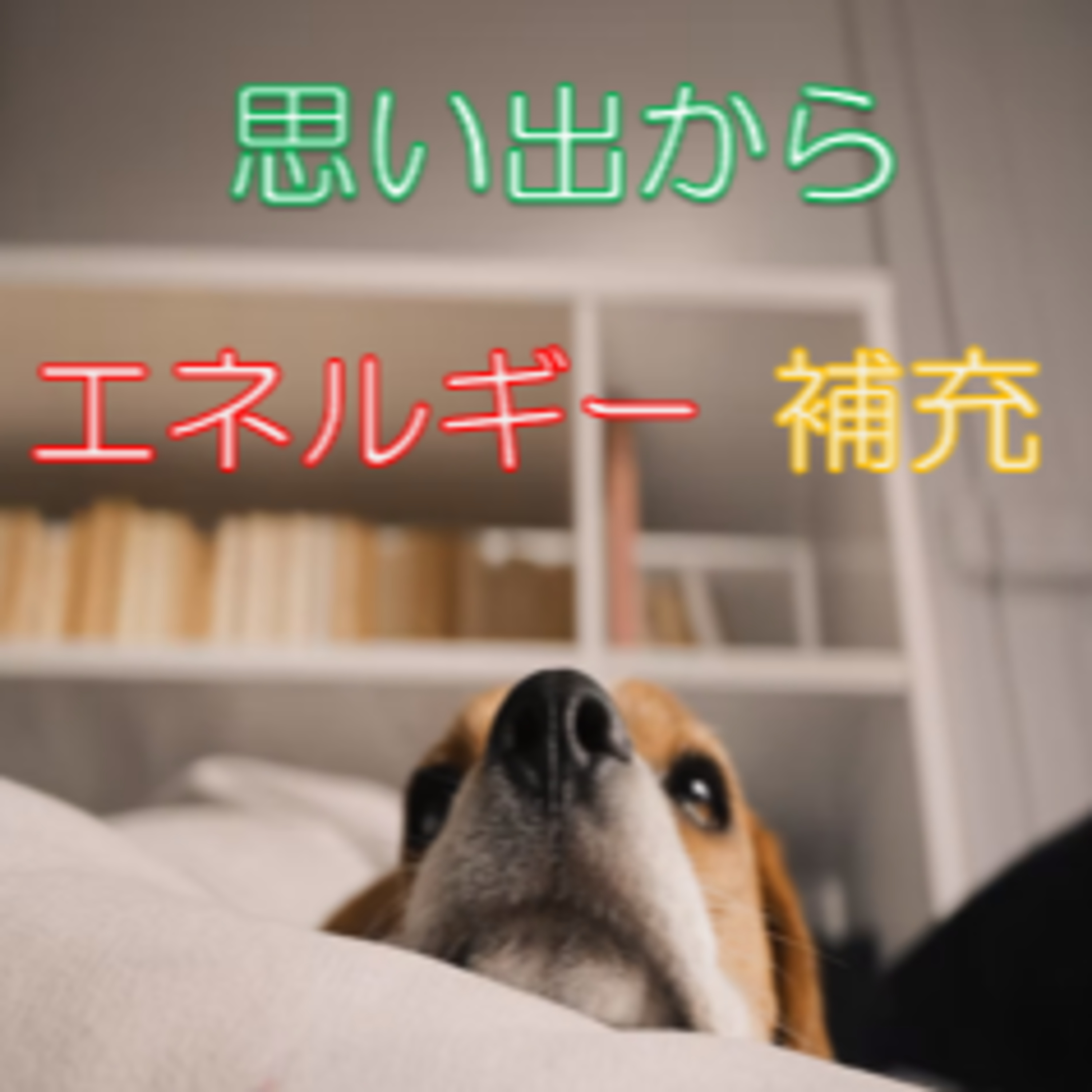 ついてない・うまくいかない時の処方箋 思い出