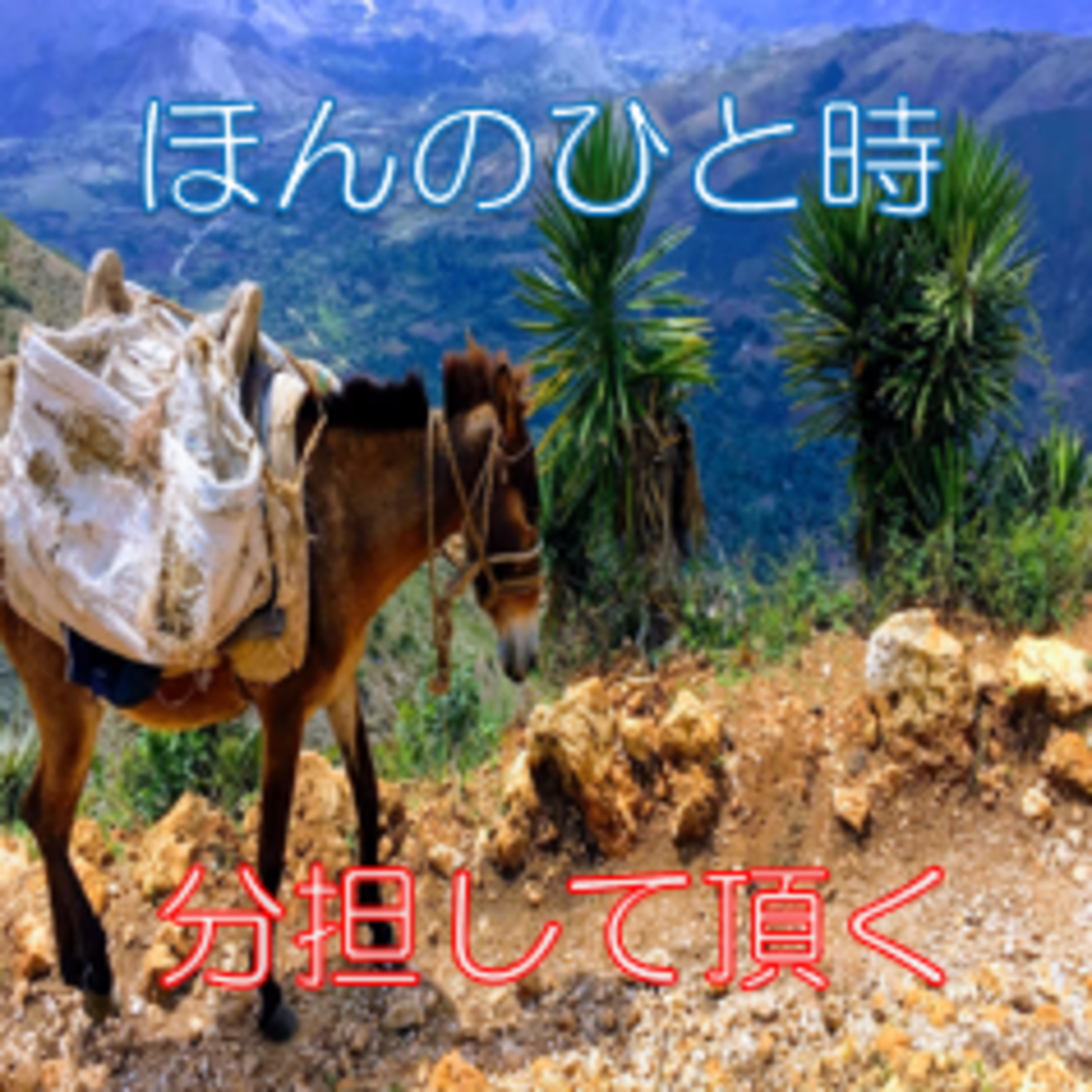 悩み・不安からの脱却 分担と共有