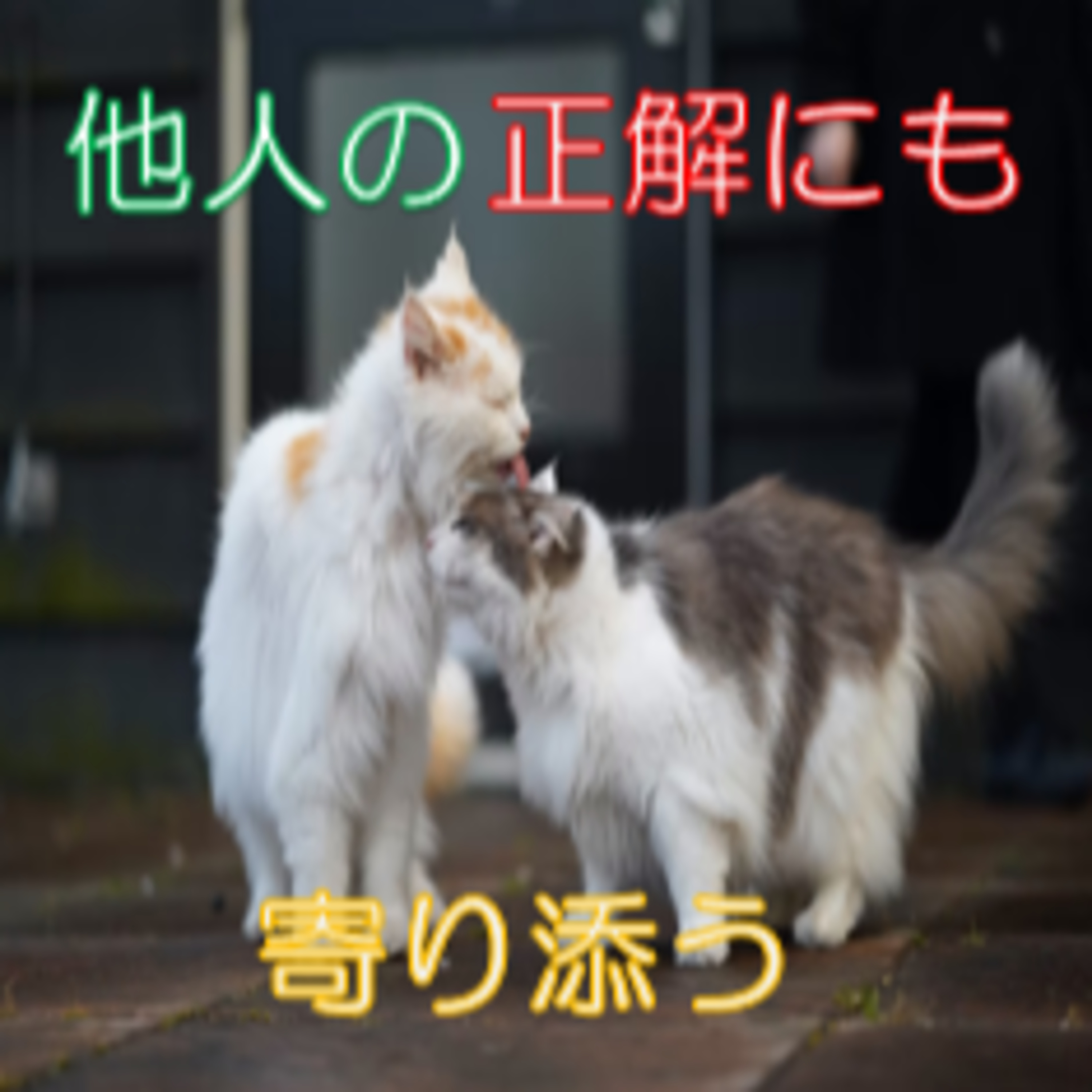 新たな視点へのきっかけ 正しさ