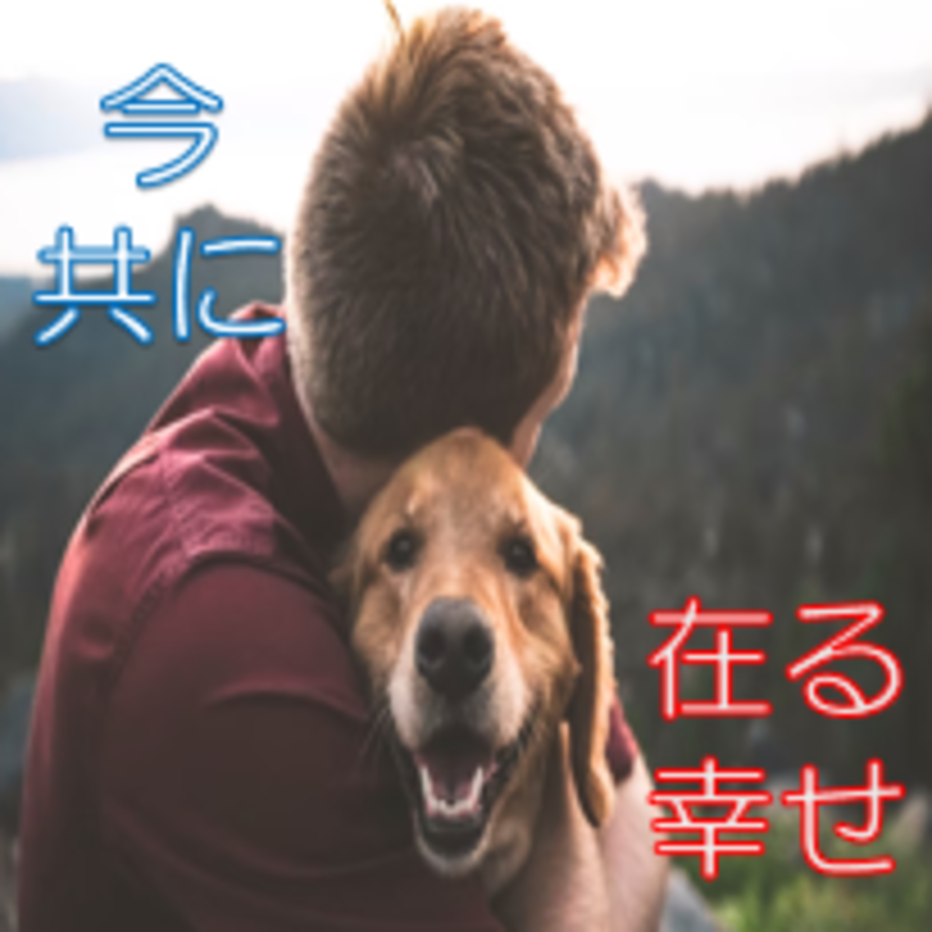 失う前から大事にしておく！