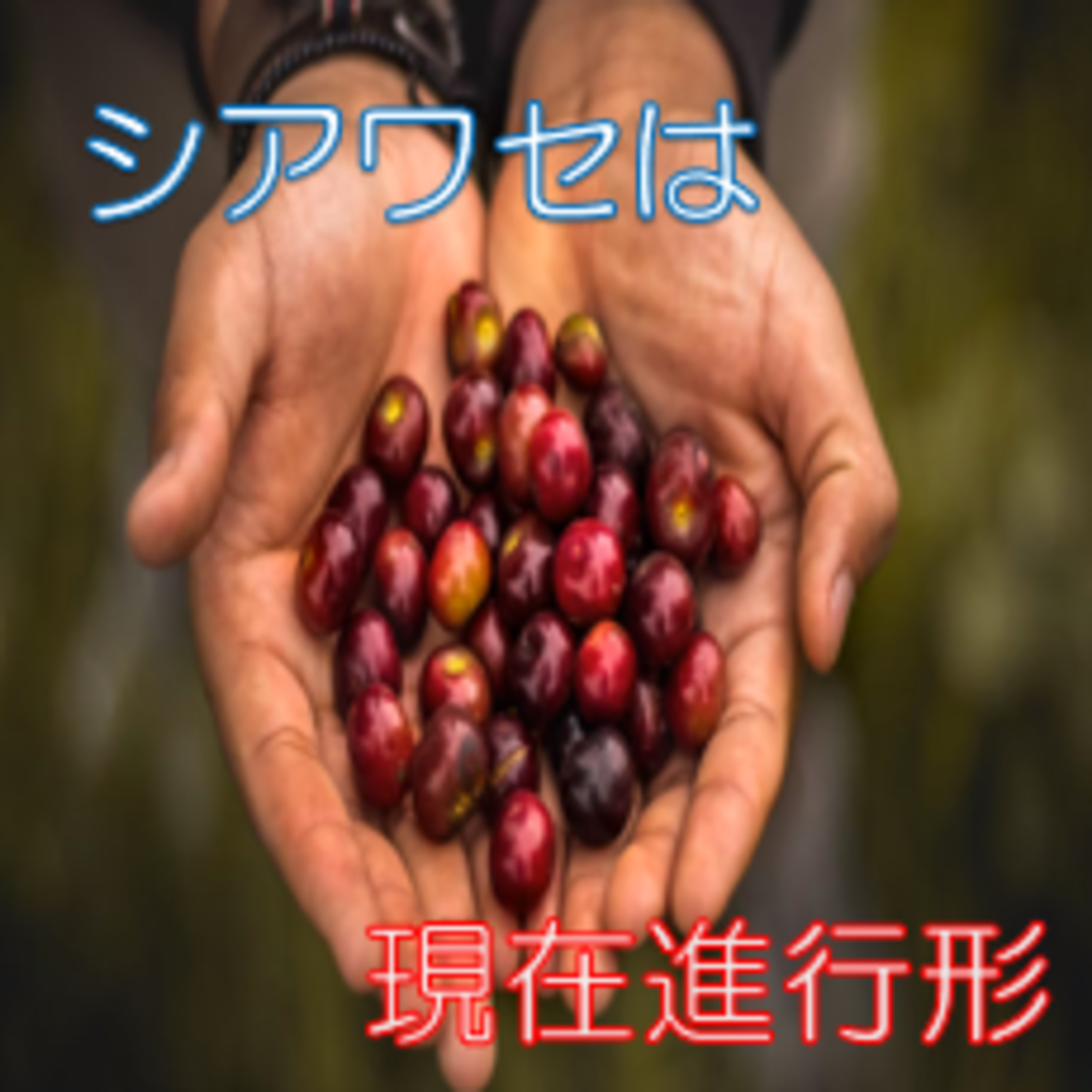 幸せは原則追い求めず実感するもの