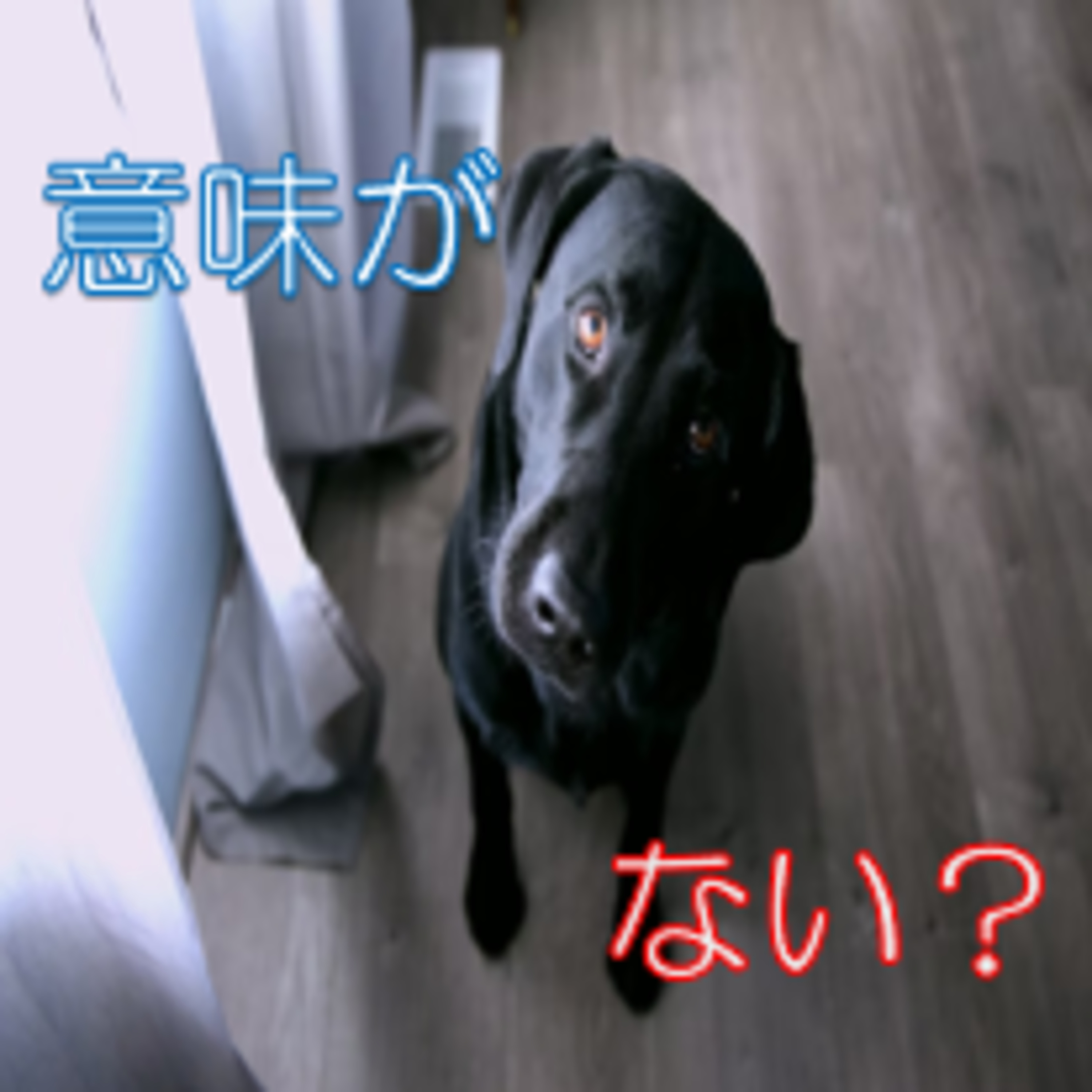 やっている事の意味を問い出したら