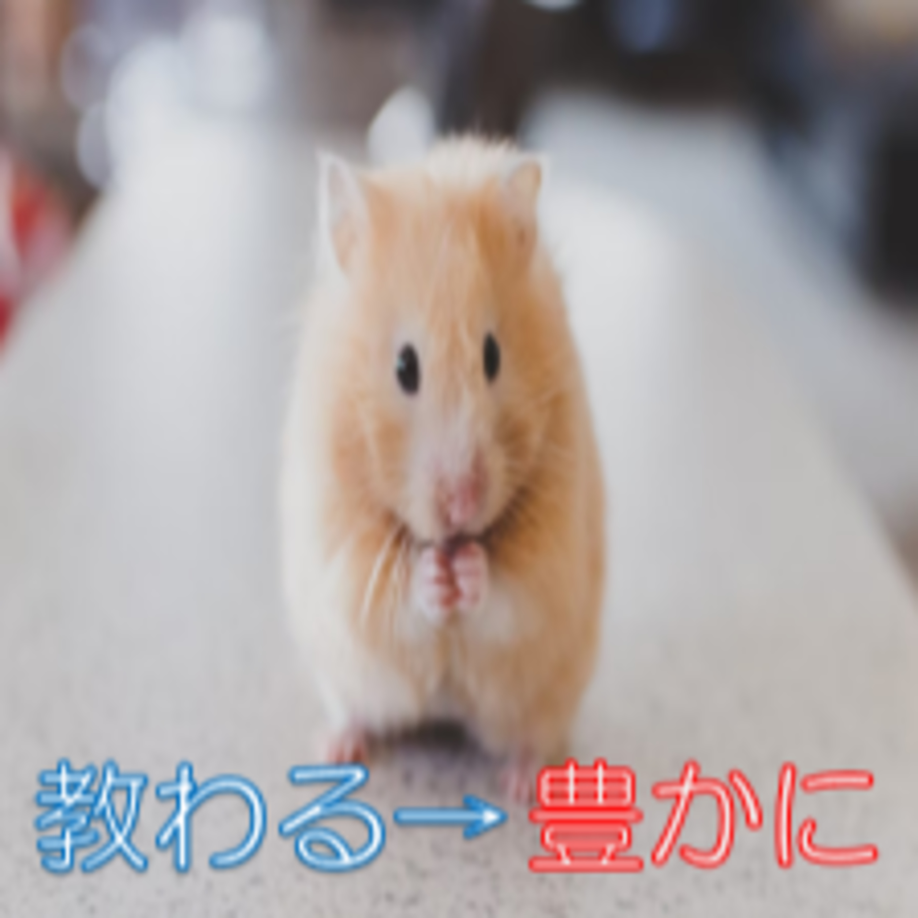 年下の方に教えを乞う