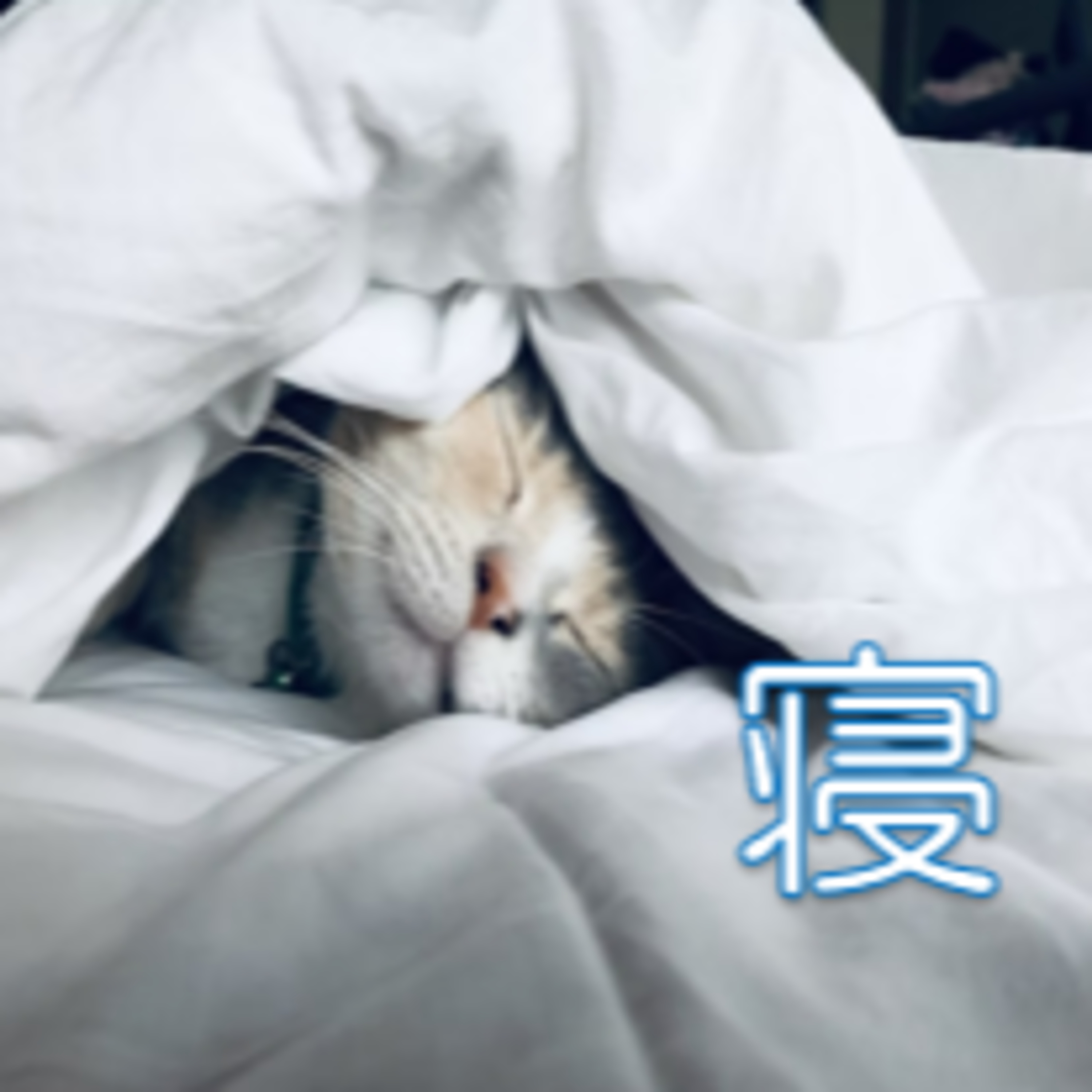 眠れなくても大丈夫 試して欲しい二つ
