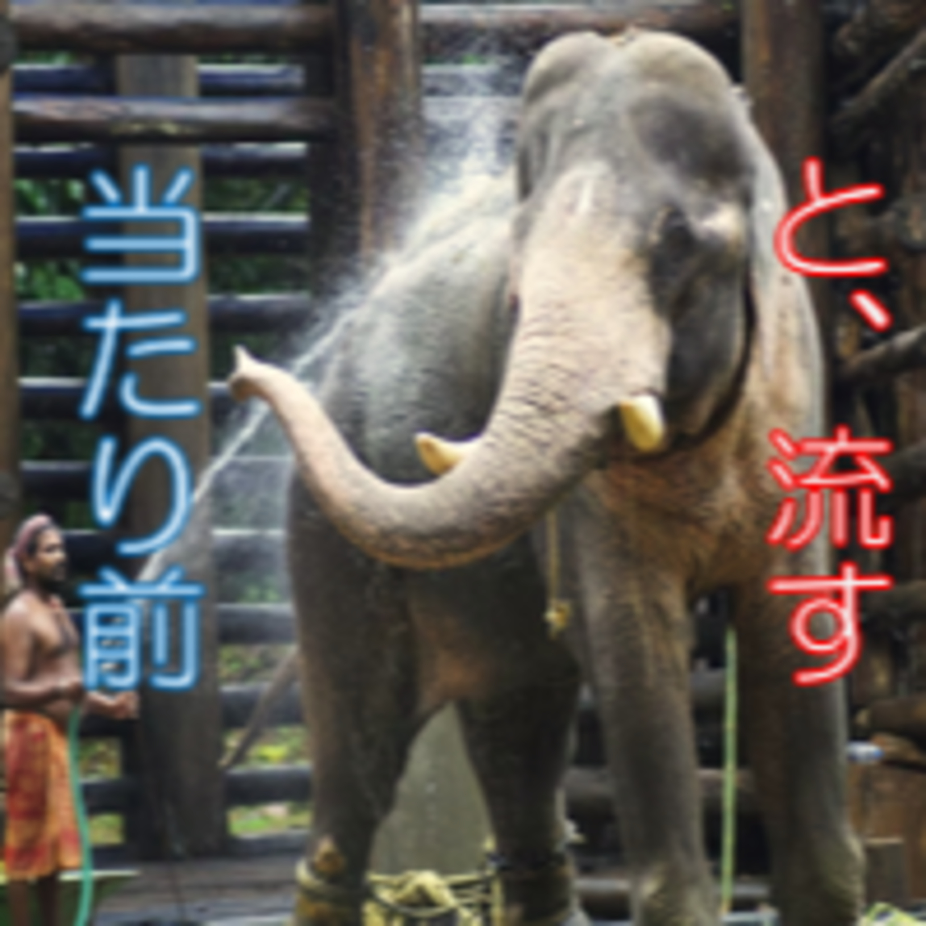 当たり前と有難いを使い分けよう 嫌悪と面倒