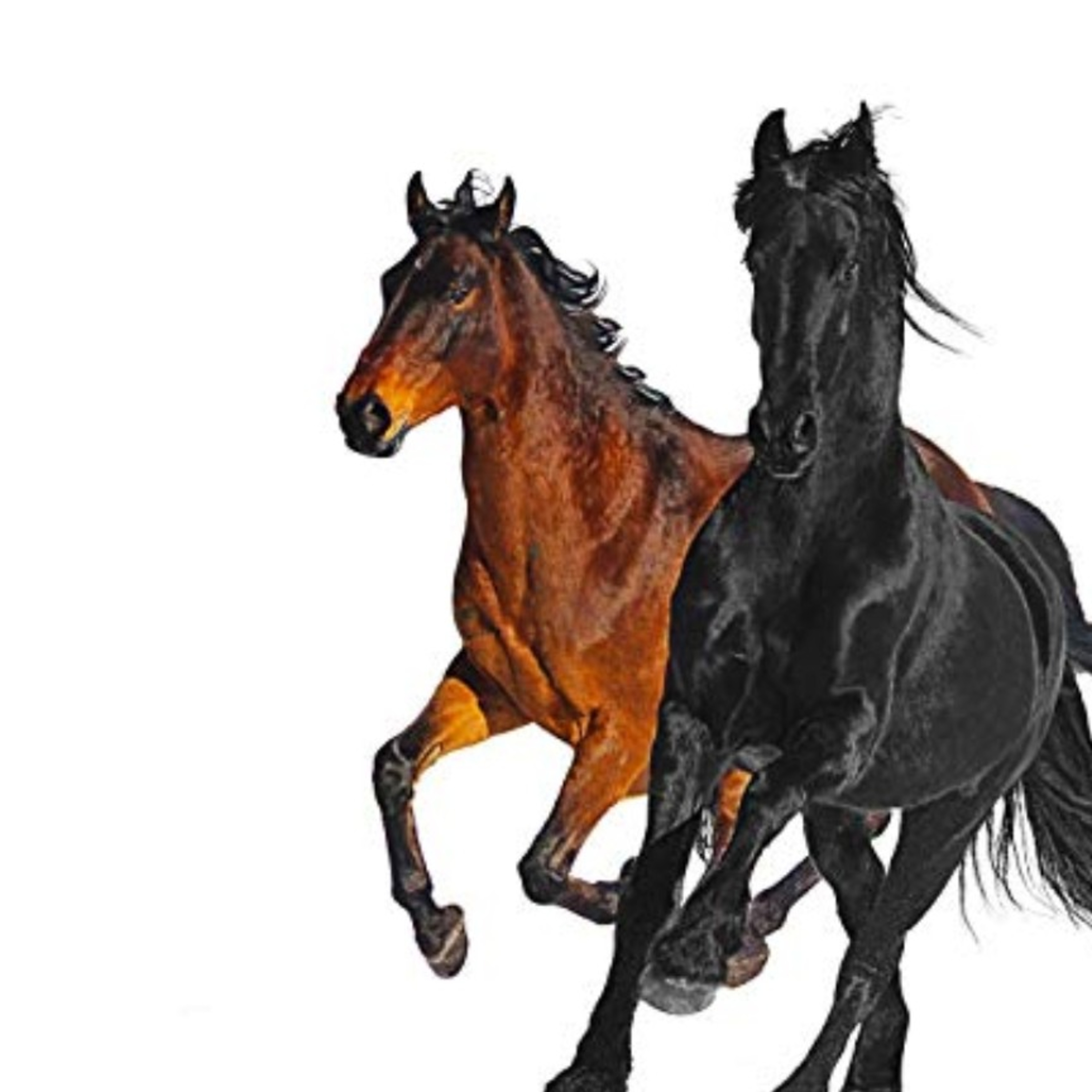 OLD TOWN ROAD