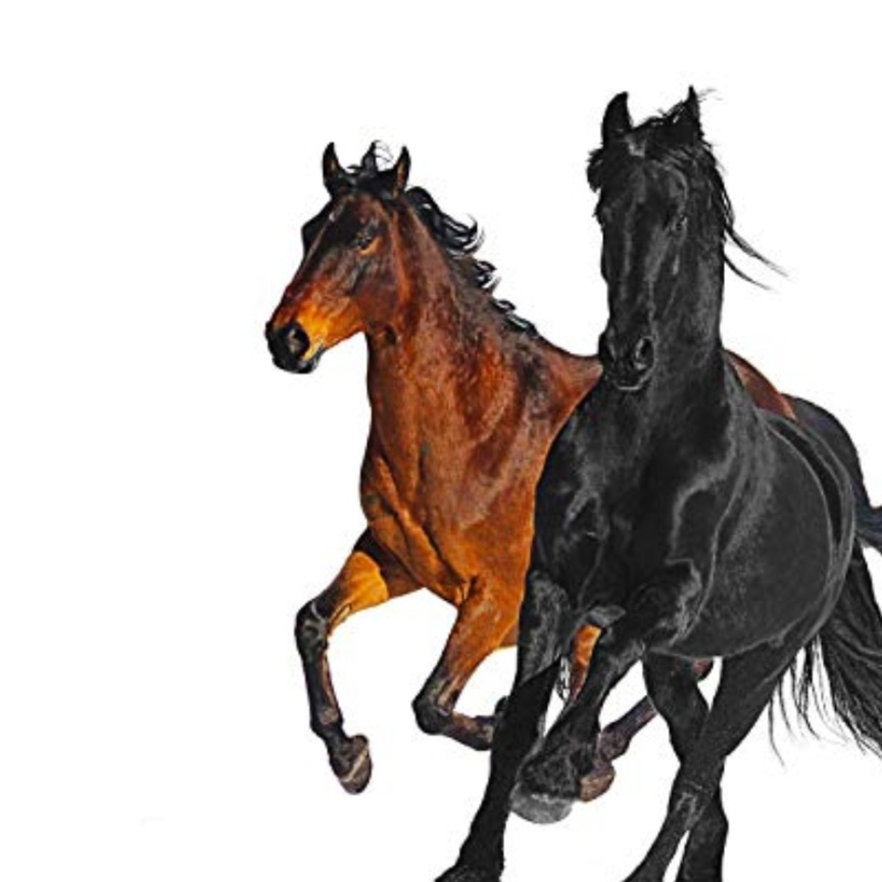 OLD TOWN ROAD