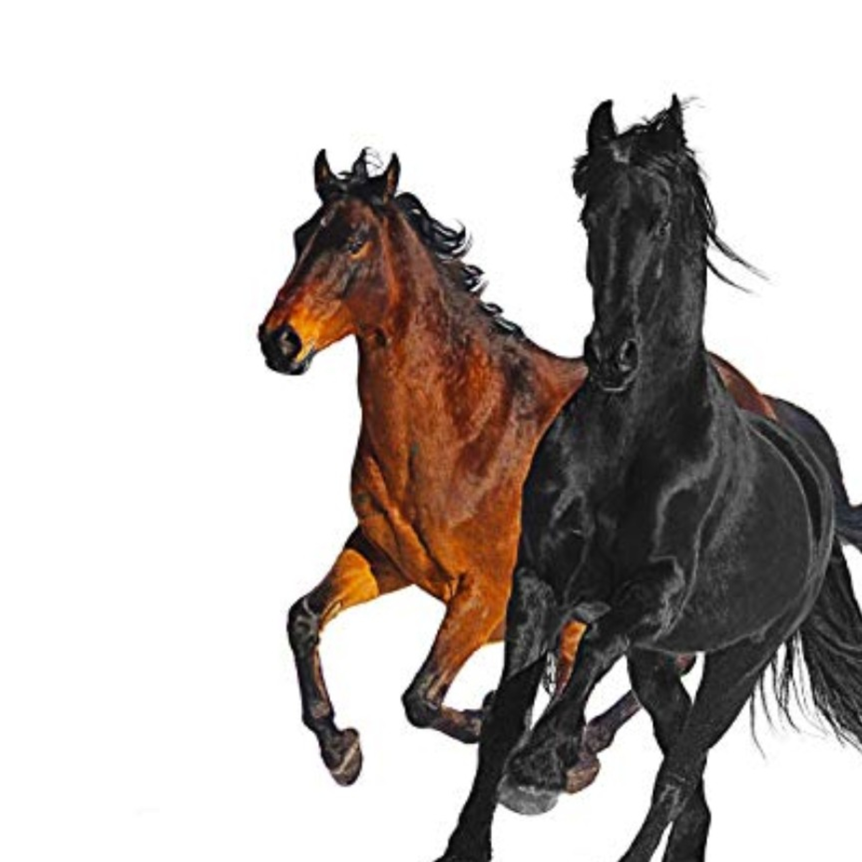 OLD TOWN ROAD