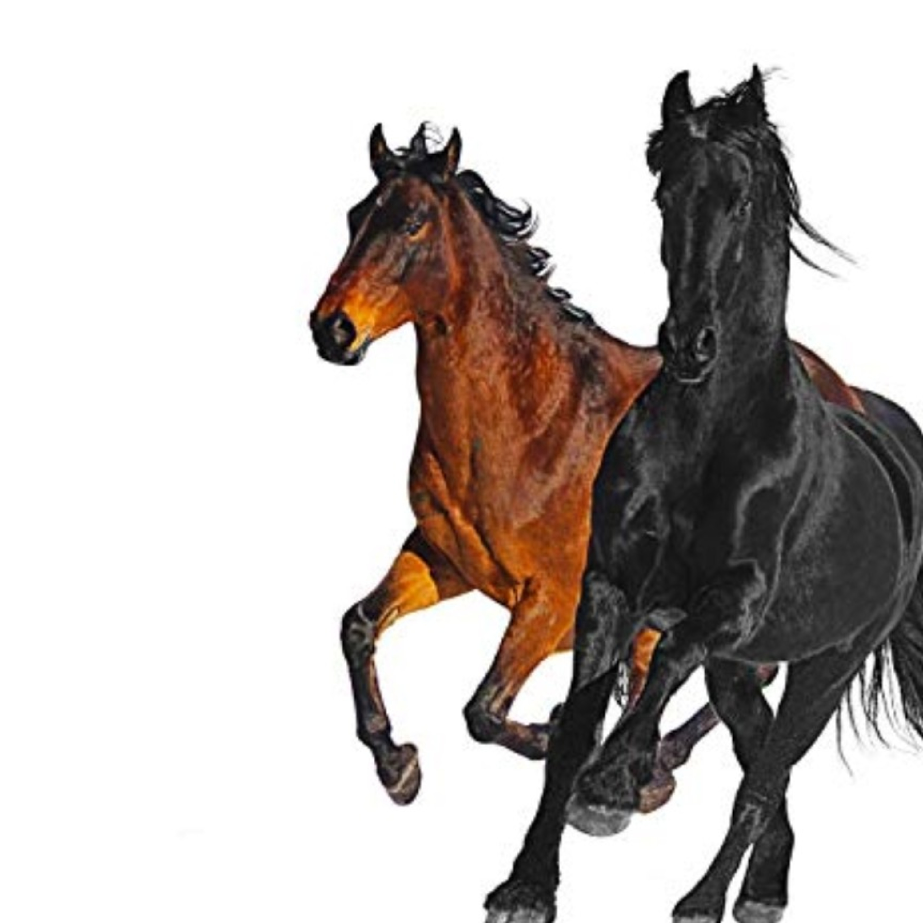 OLD TOWN ROAD