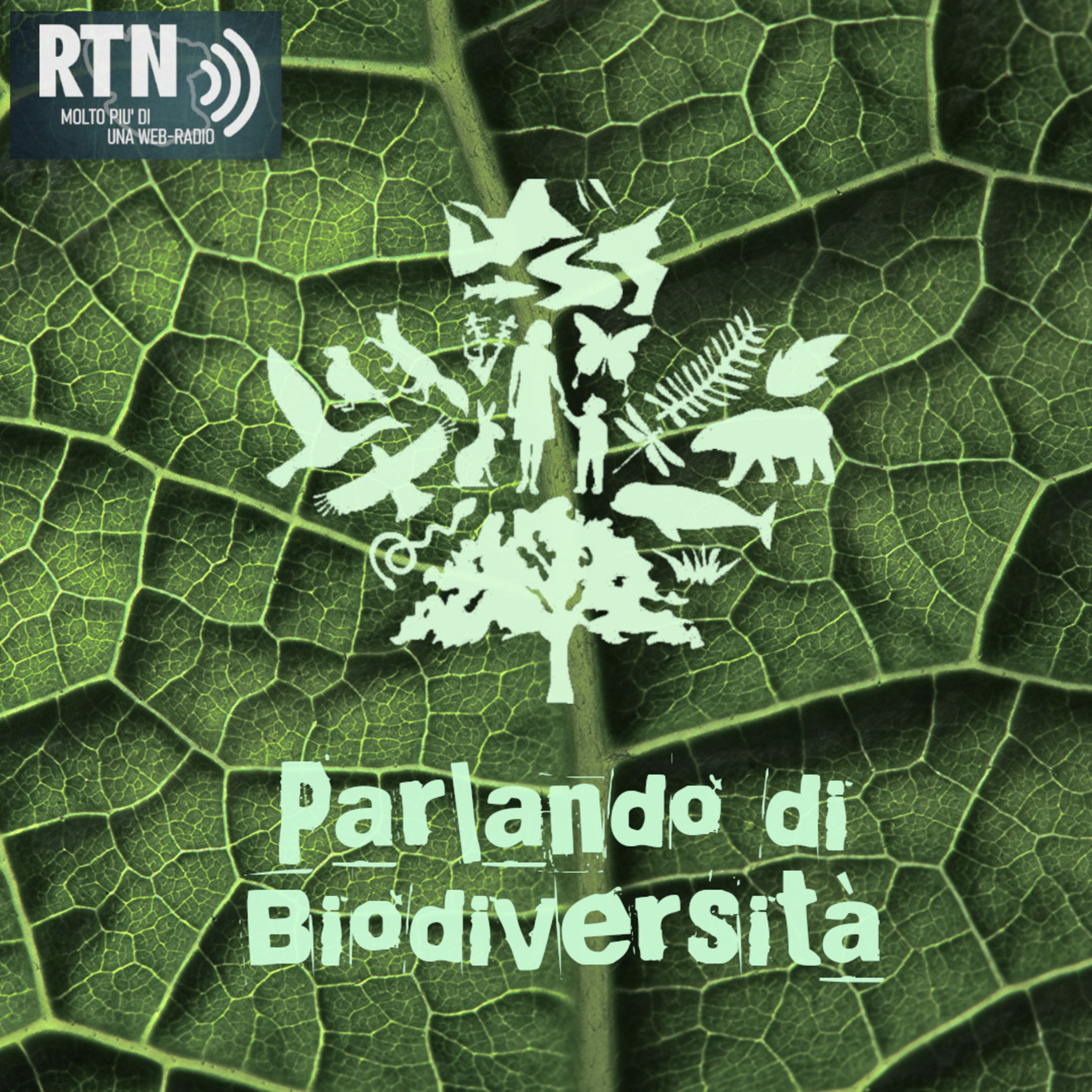 RTN Podcast - Le Rubriche di RTN Radio
