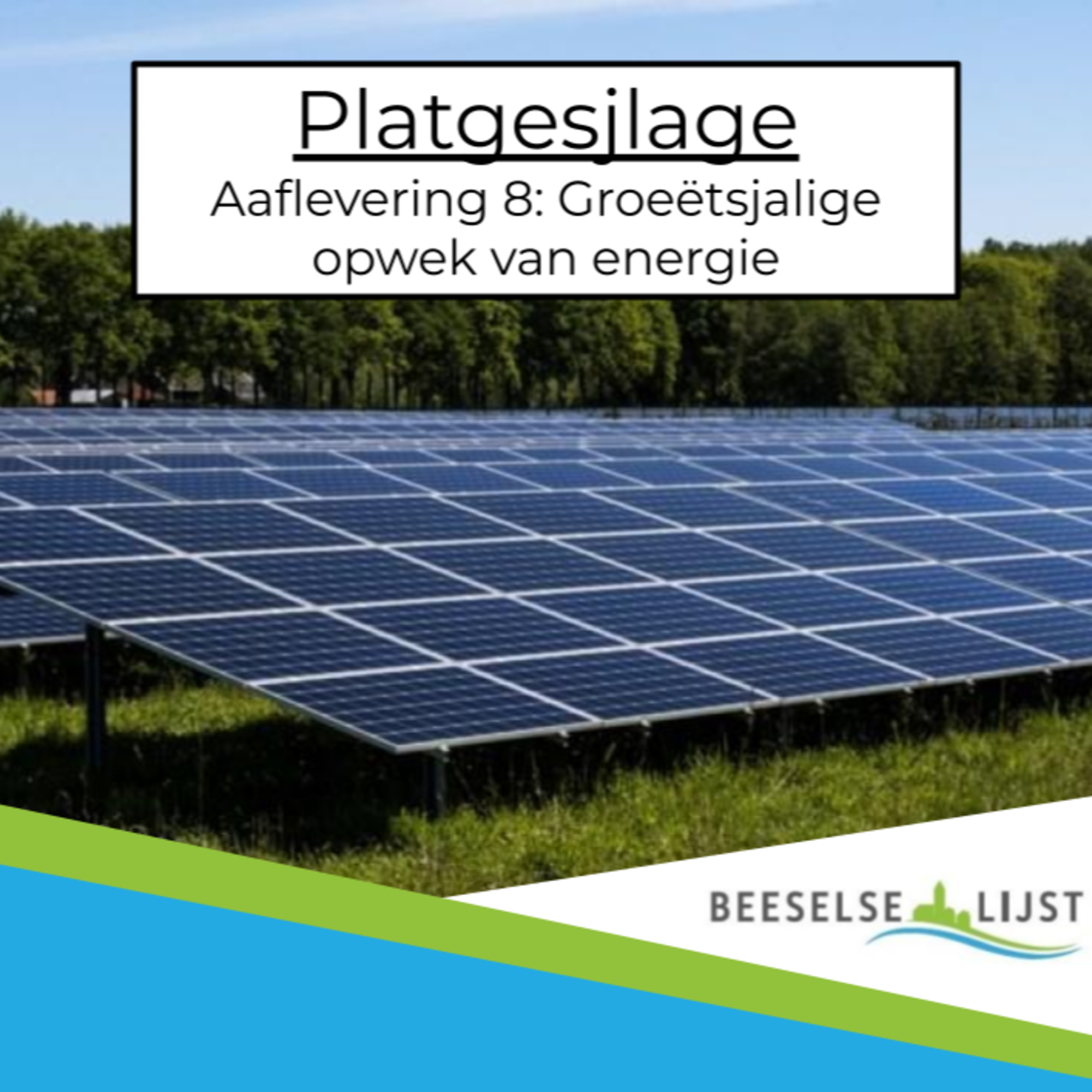 Platgesjlage