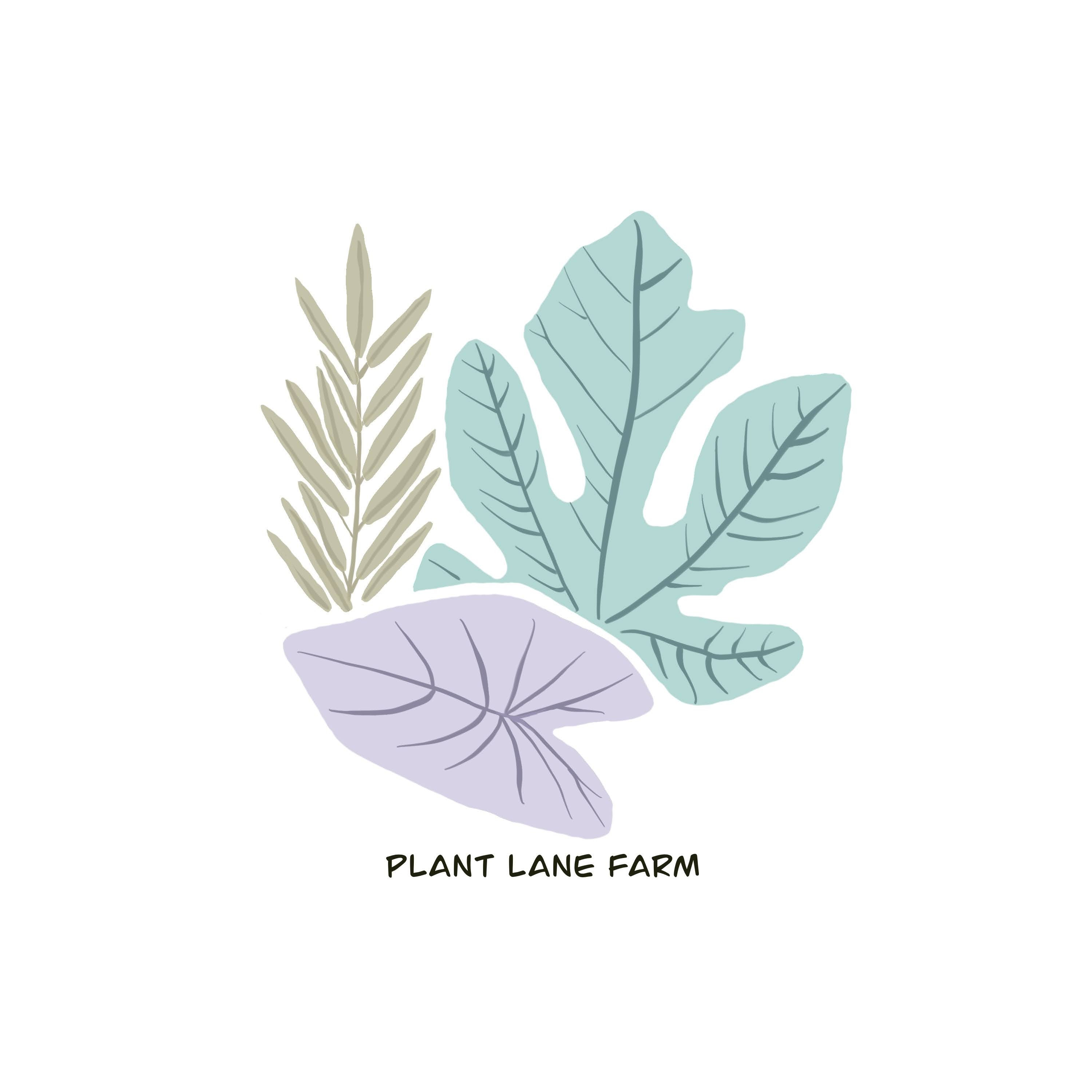Winterizing your Garden with Thoughts and Philosophy