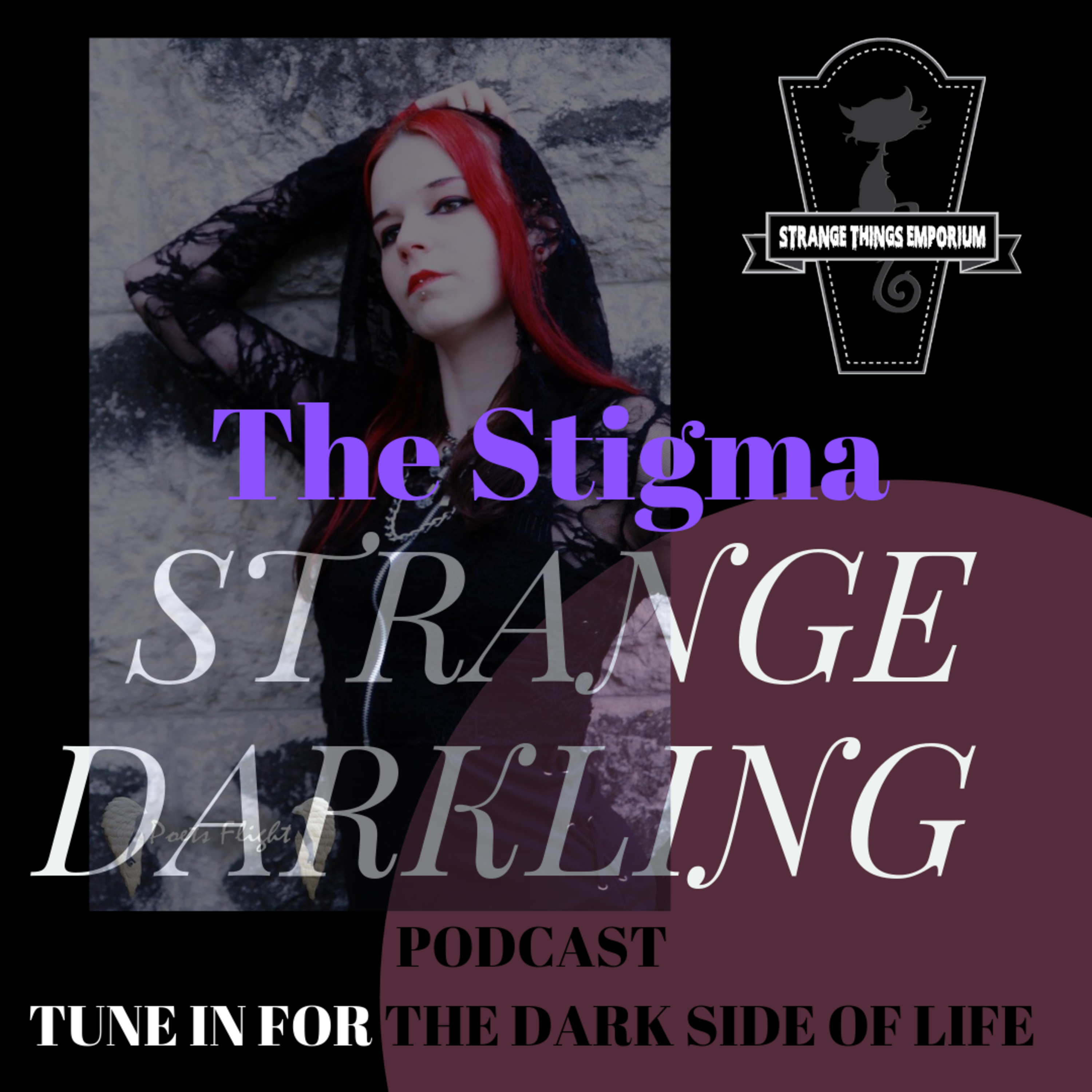 The Stigma episode artwork
