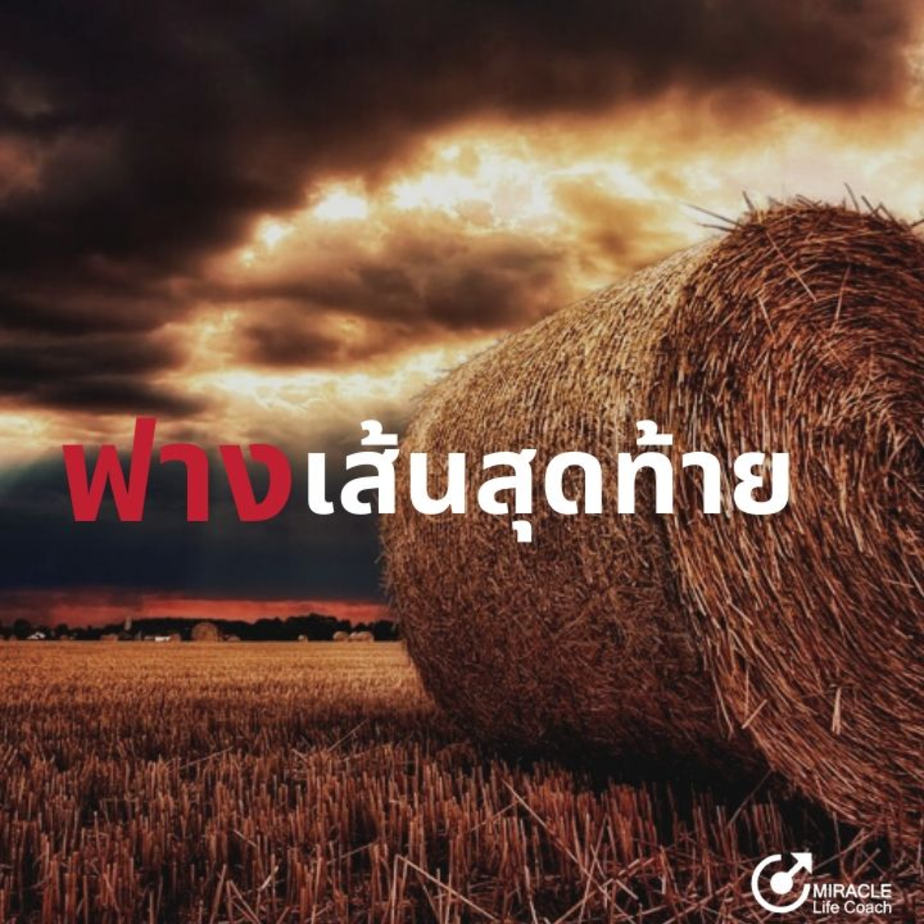 ฟางเส้นสุดท้าย episode artwork
