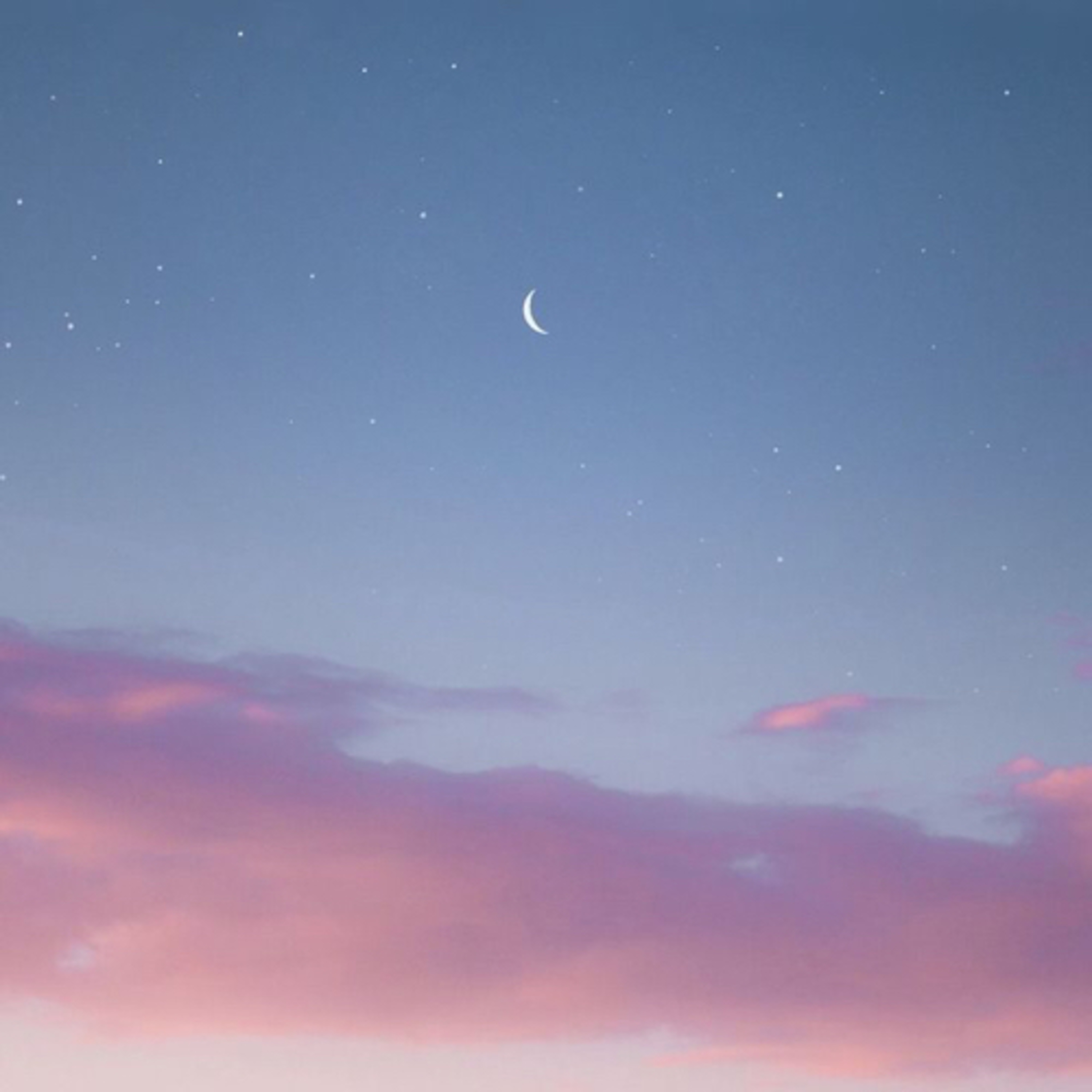 heart holder heart holder