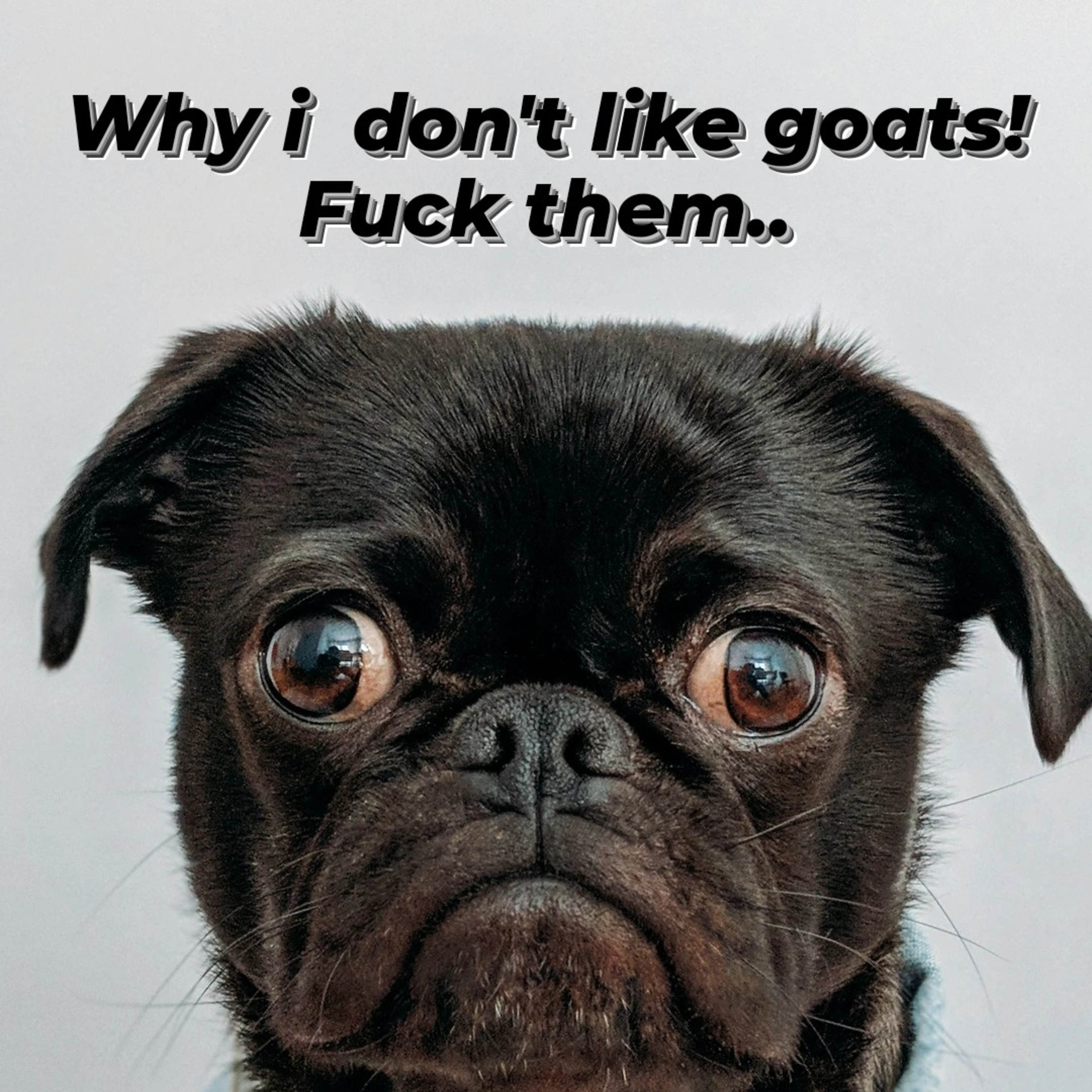 Why i don't like goats 🌟🐐 accident ra main character 🤣 episode artwork