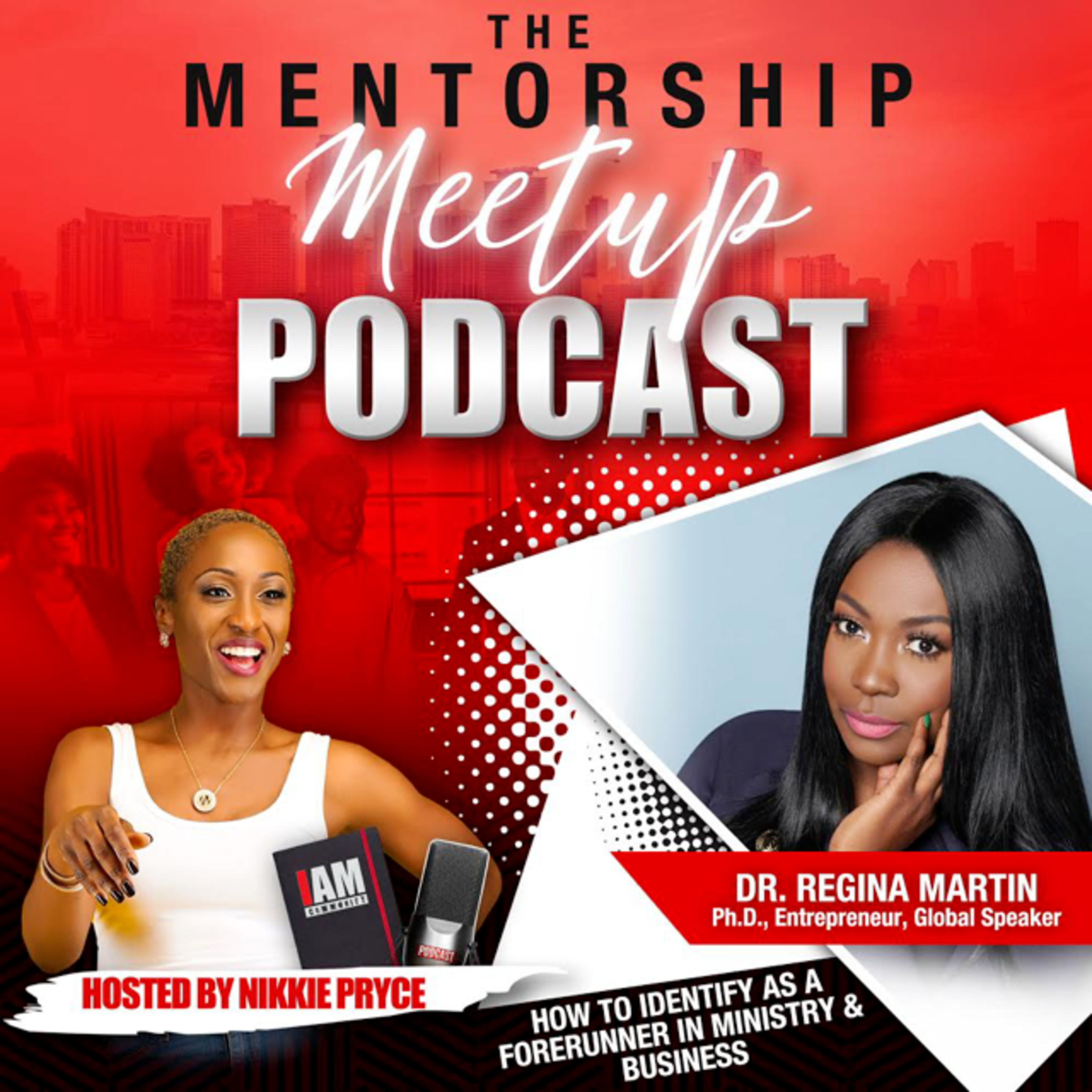 The Mentorship Meetup Podcast