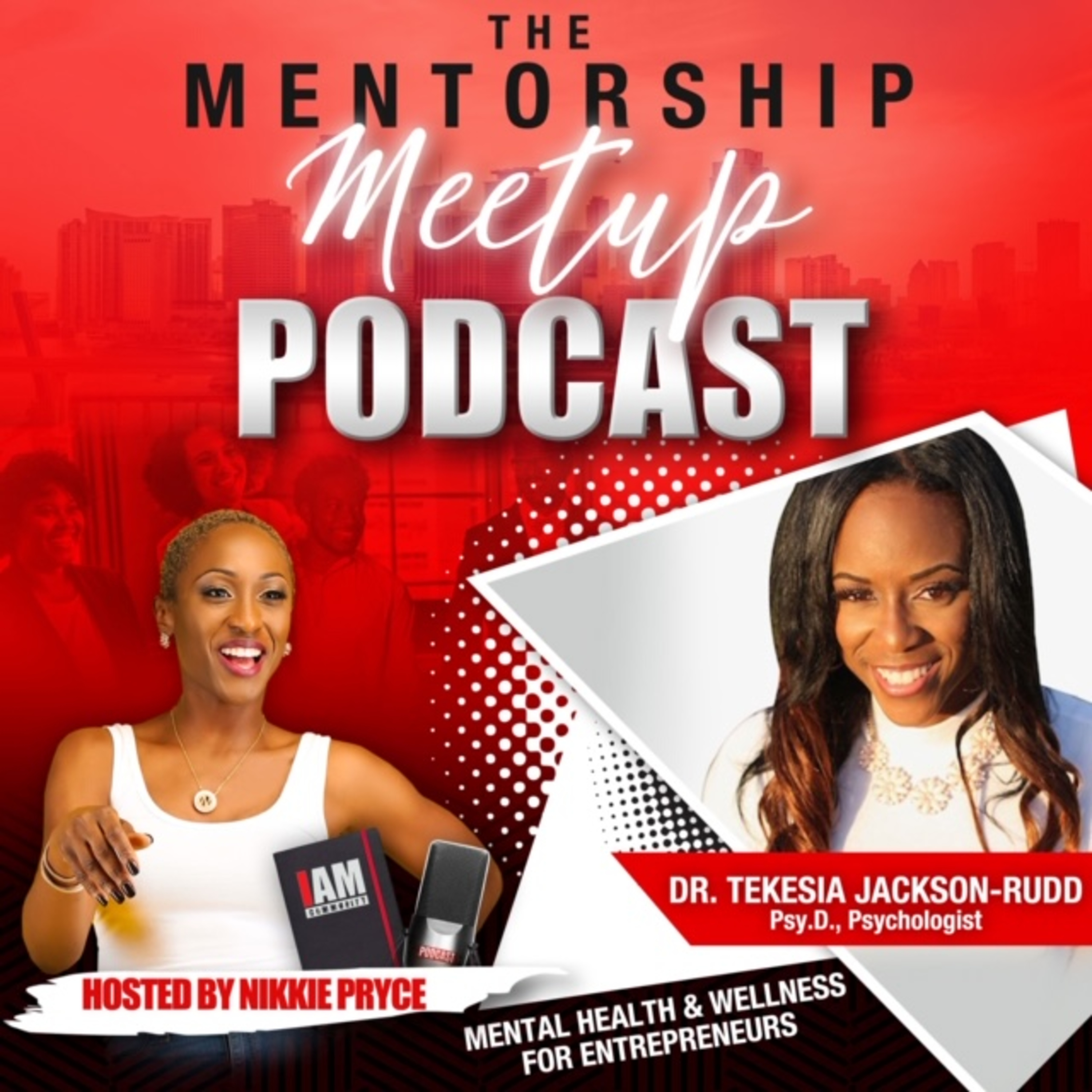 The Mentorship Meetup Podcast