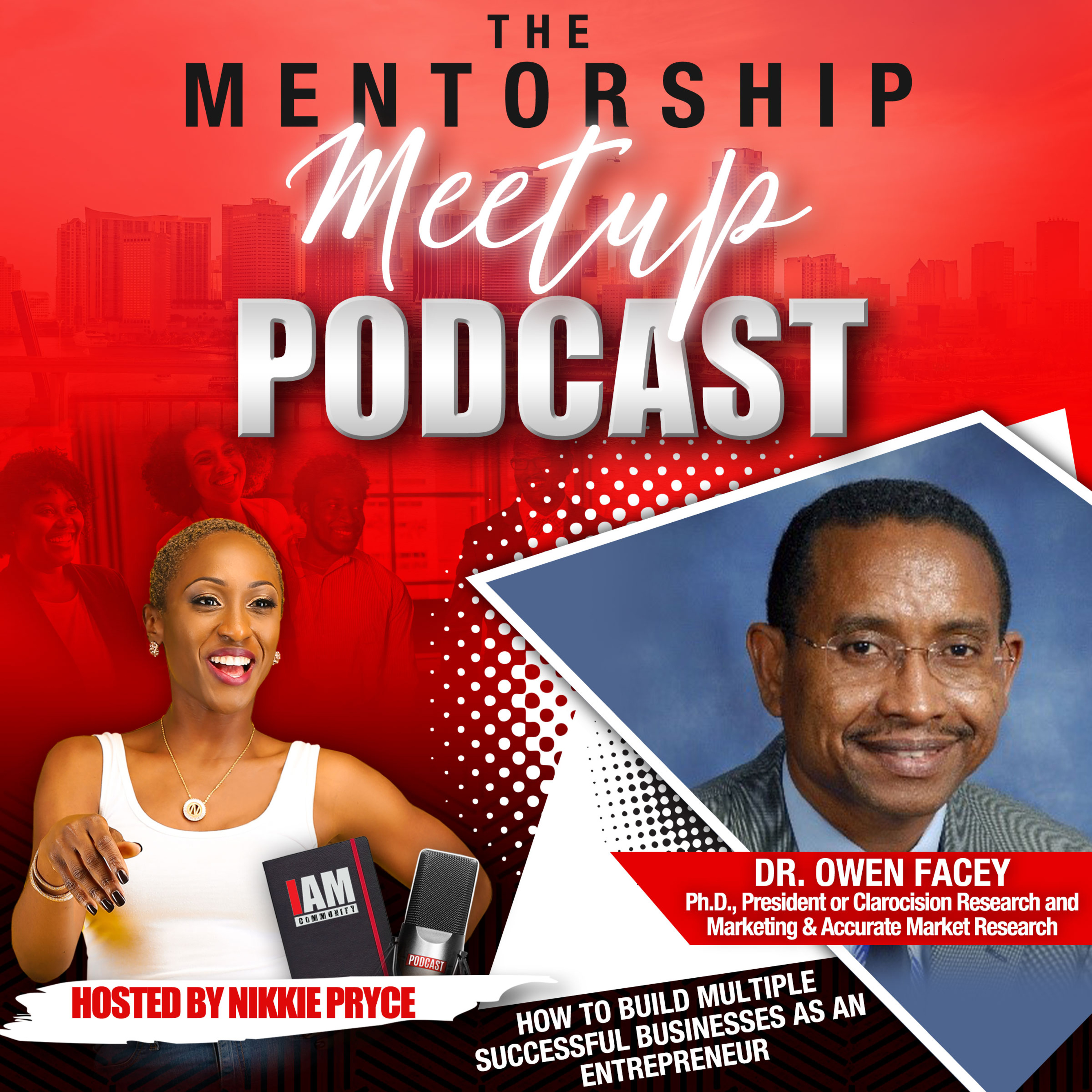 The Mentorship Meetup Podcast