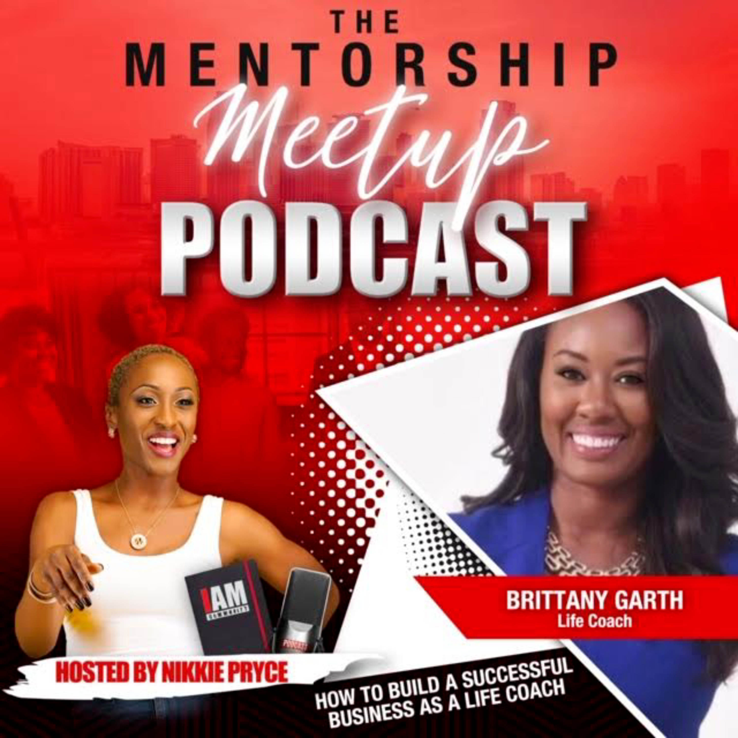 The Mentorship Meetup Podcast