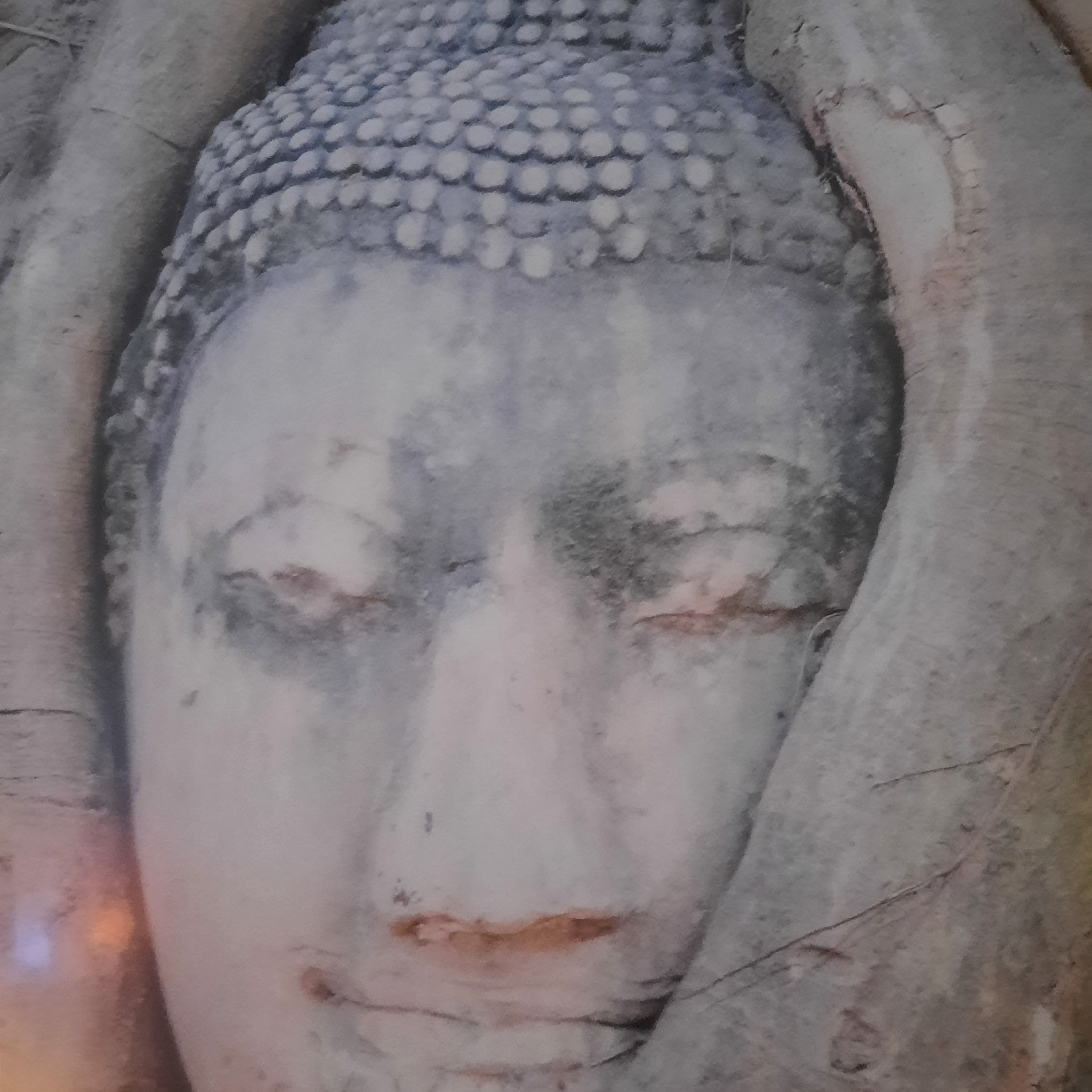 Buddhismus-Lehrreden-Meditationen-vorträge