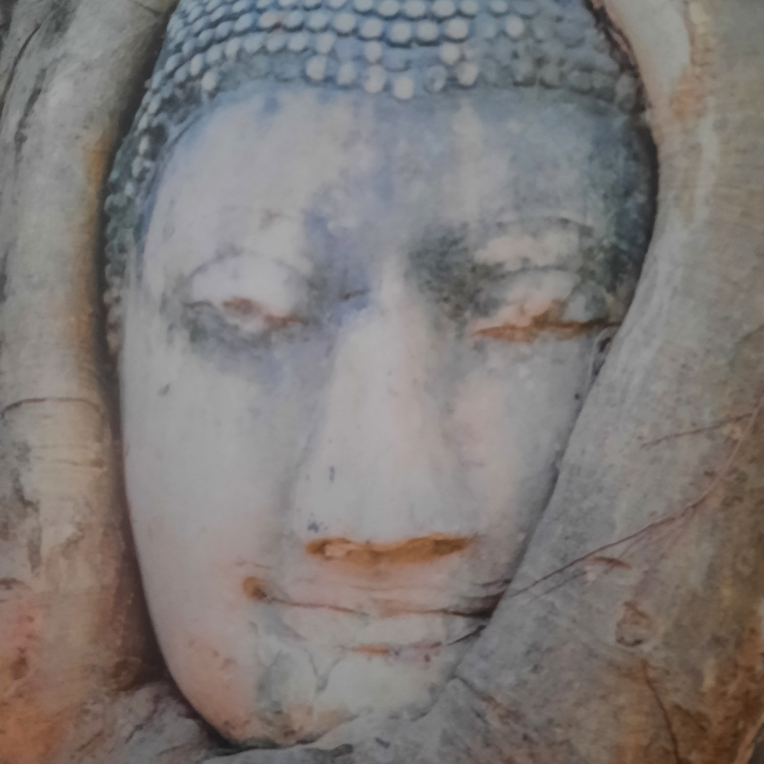 Buddhismus-Lehrreden-Meditationen-vorträge