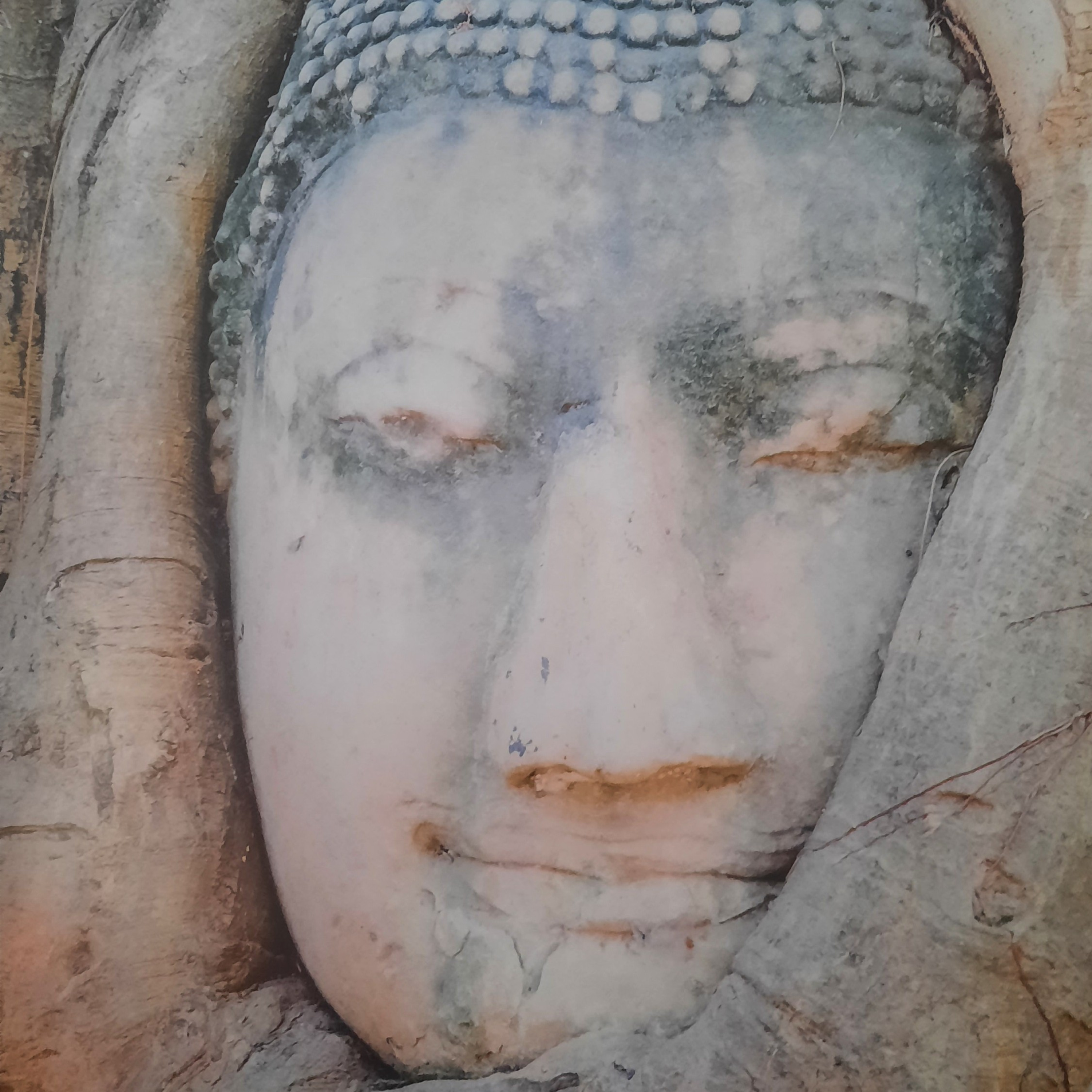 Buddhismus-Lehrreden-Meditationen-vorträge