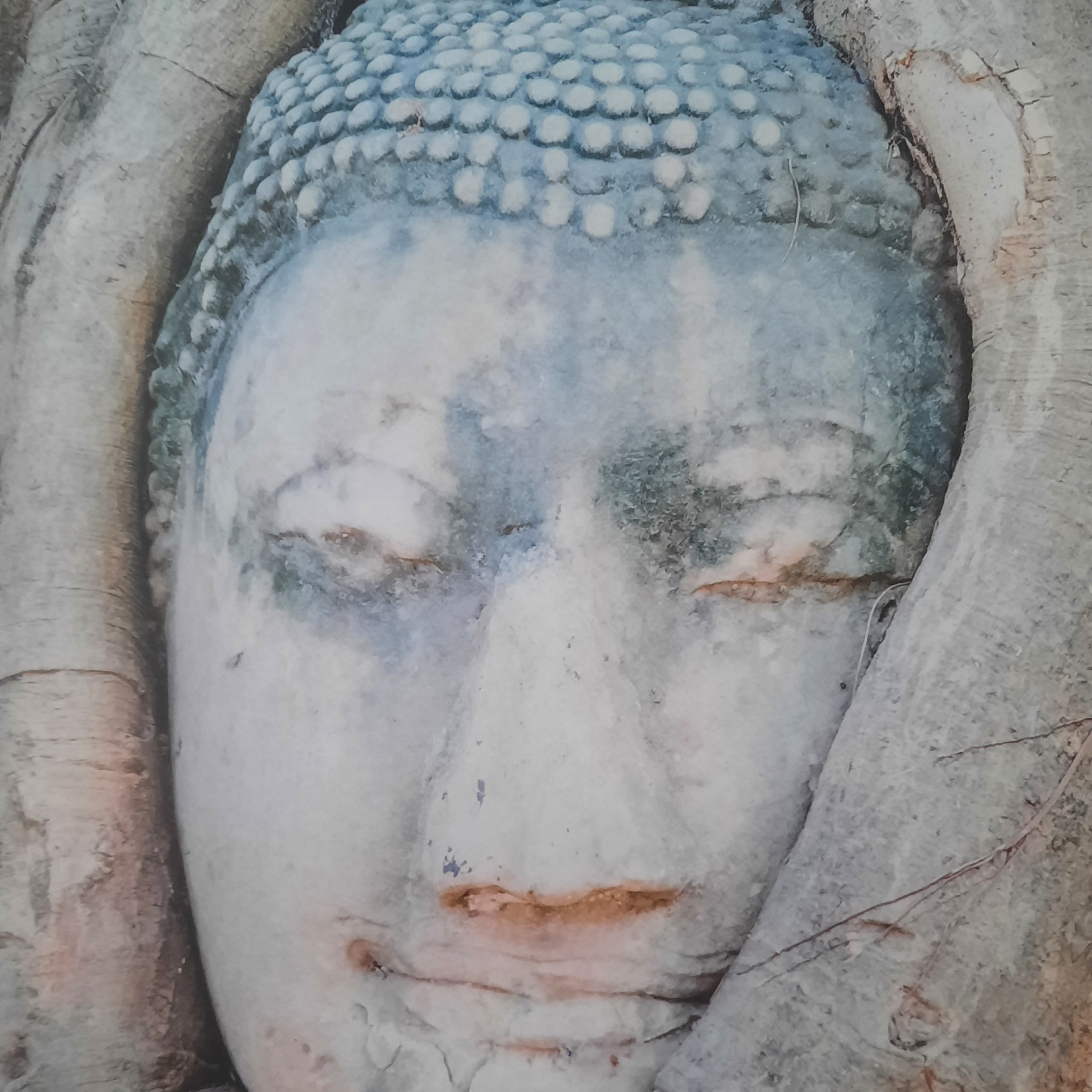 Buddhismus-Lehrreden-Meditationen-vorträge