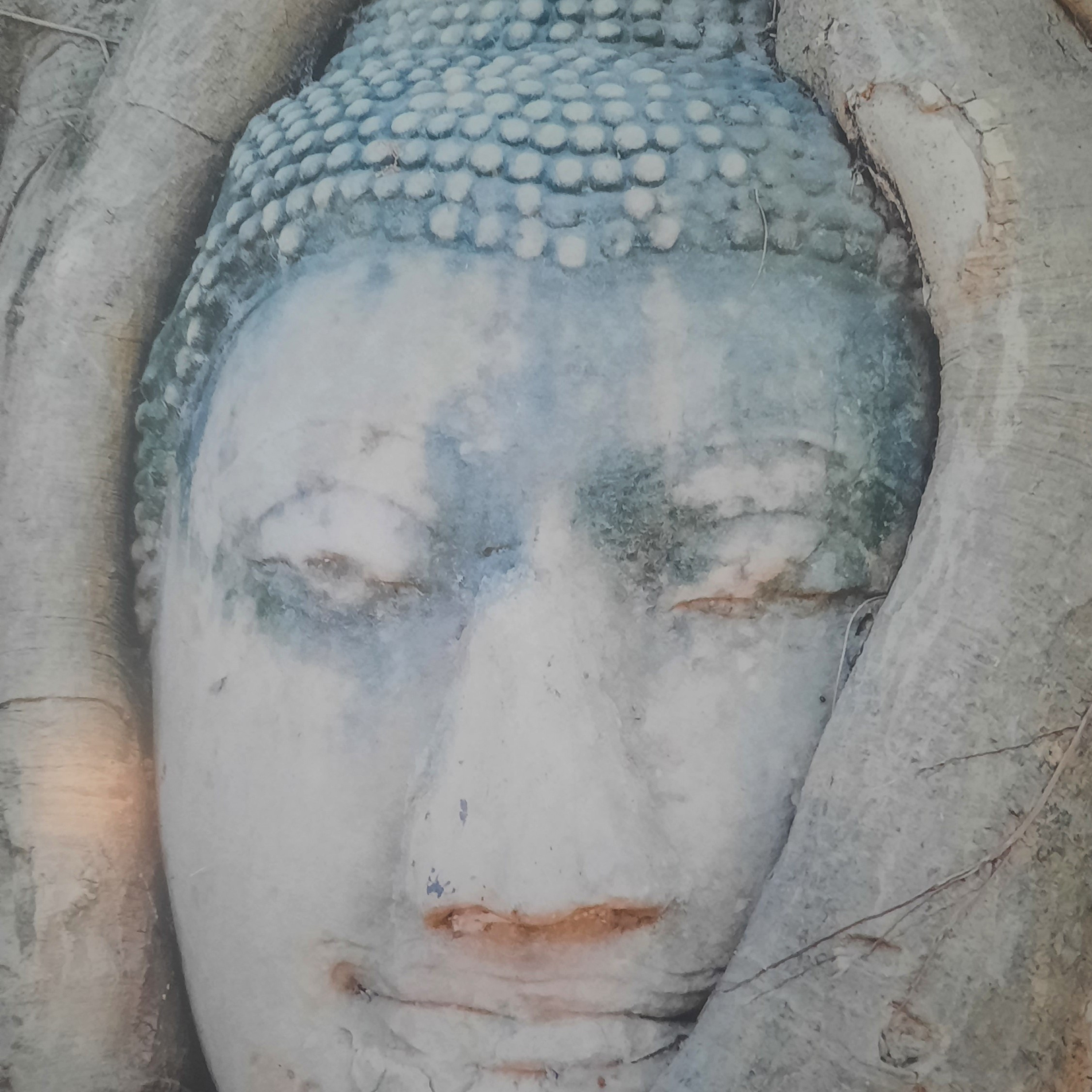 Buddhismus-Lehrreden-Meditationen-vorträge