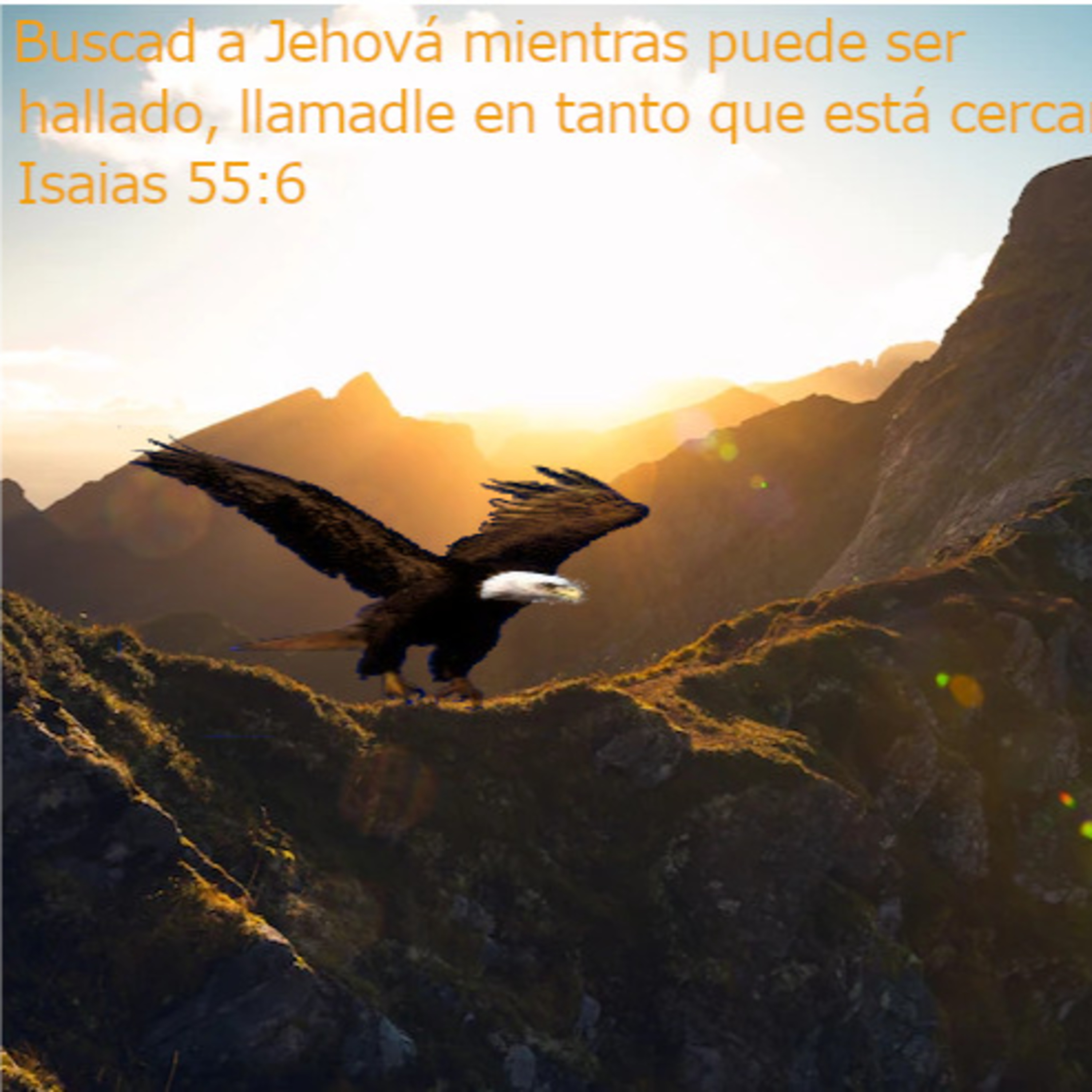 Portada de Hay Esperanza