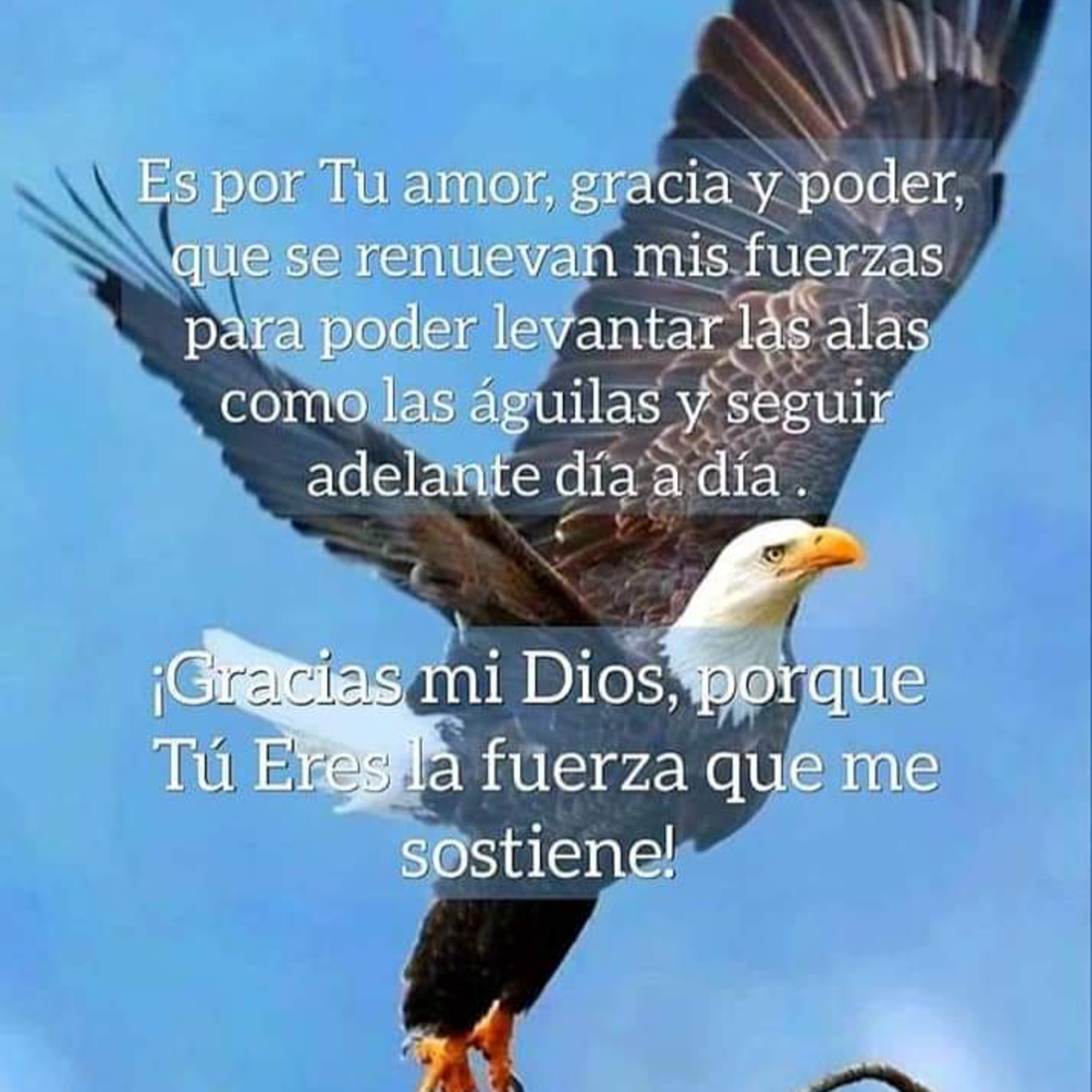 Hay Esperanza