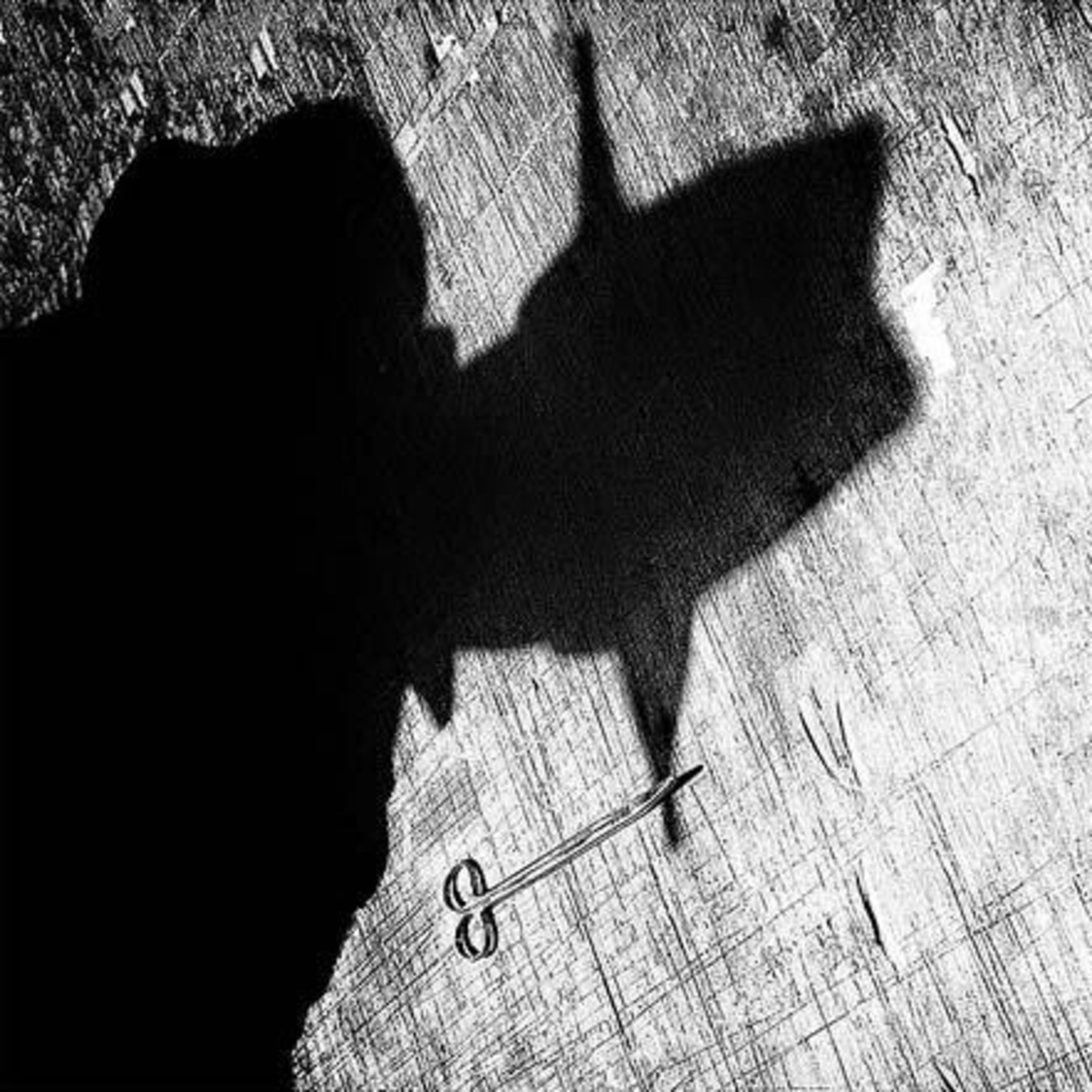 Encuentro Paranormal Mx