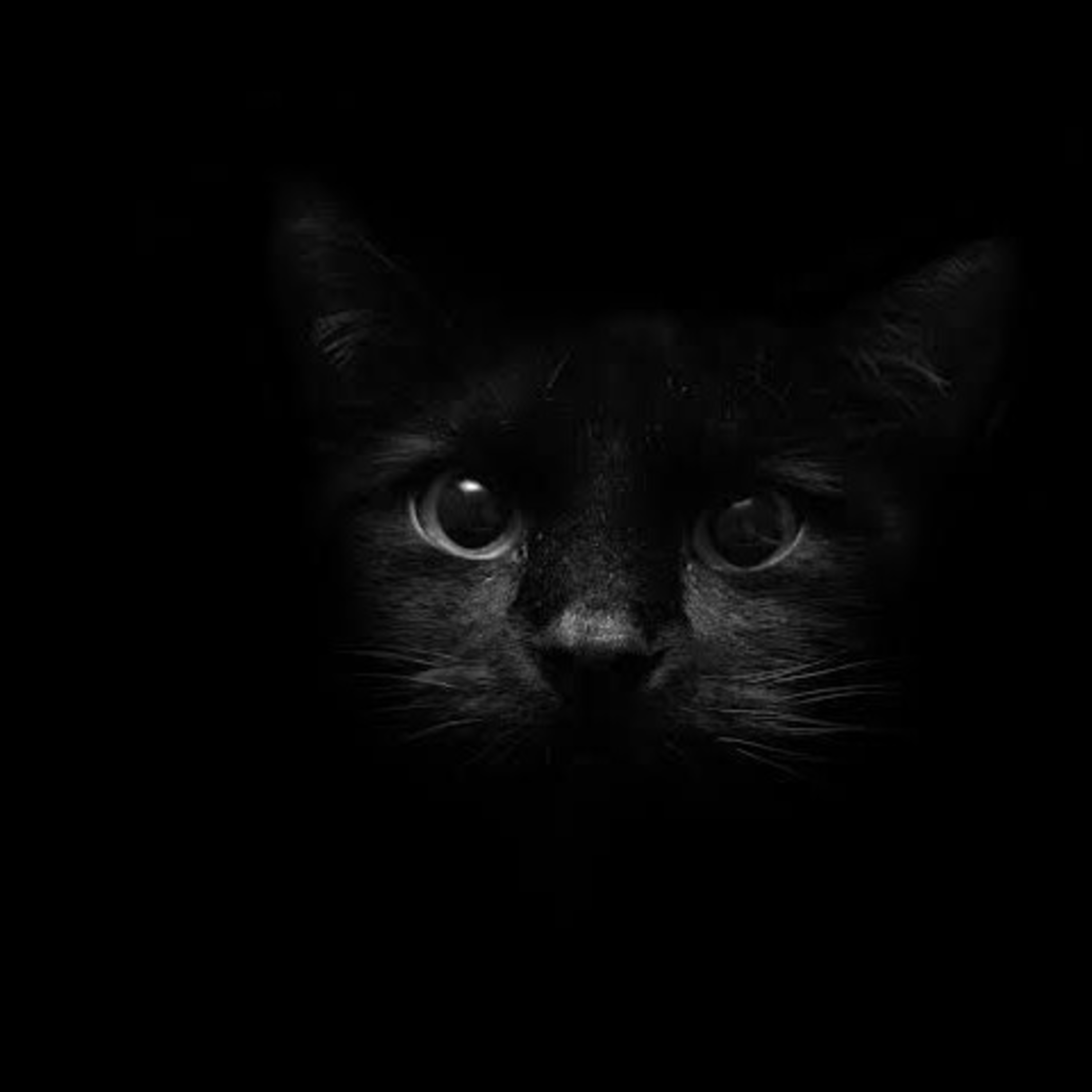 Encuentro Paranormal Mx