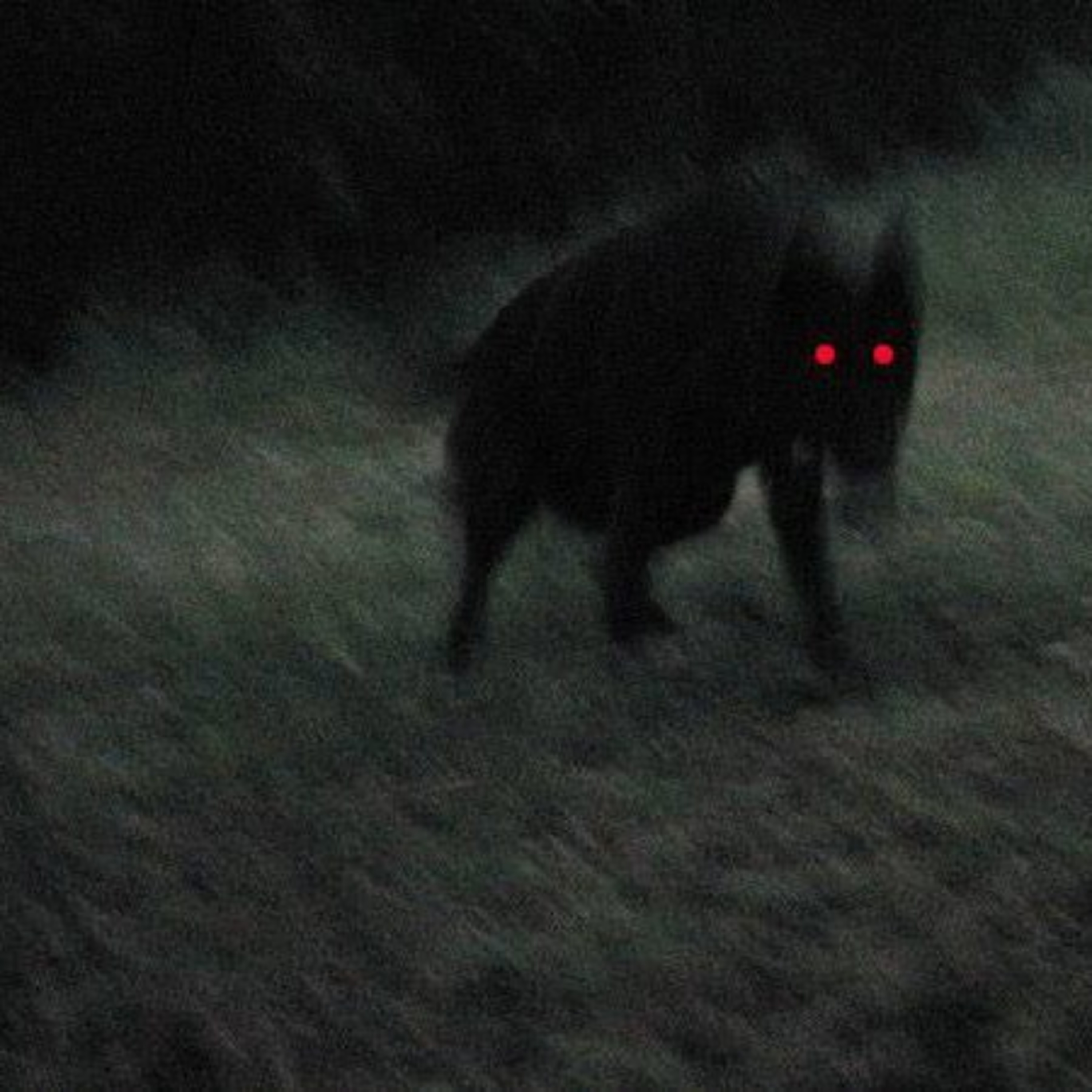 Encuentro Paranormal Mx