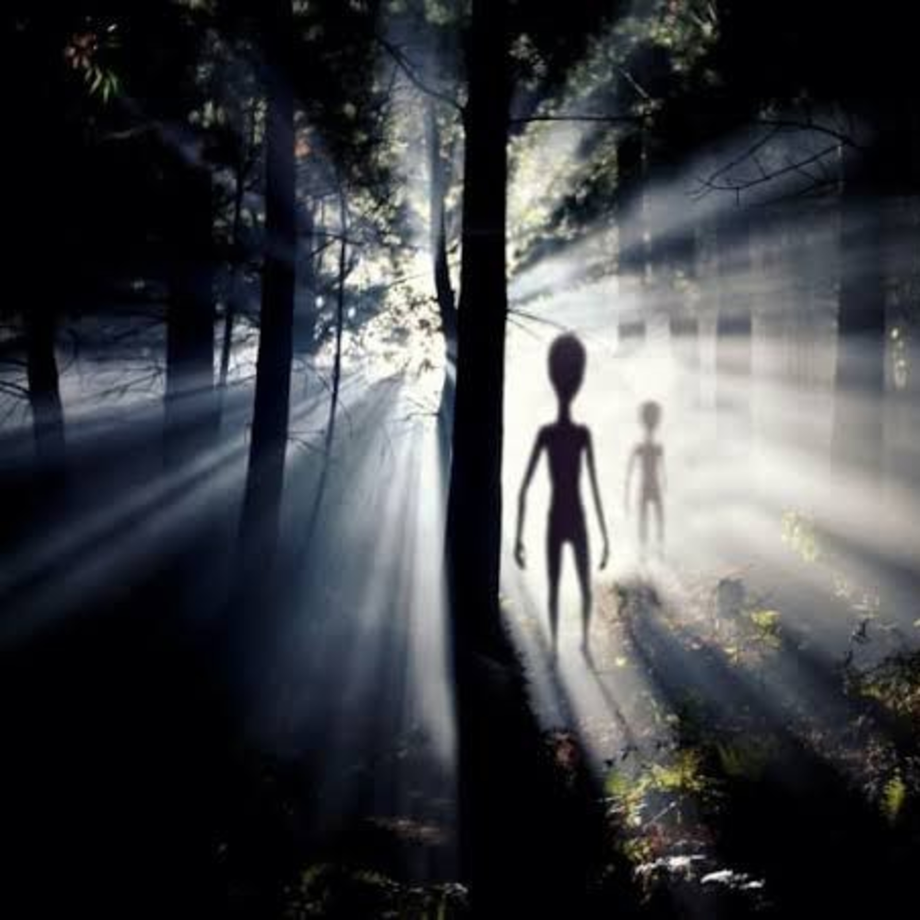 Encuentro Paranormal Mx