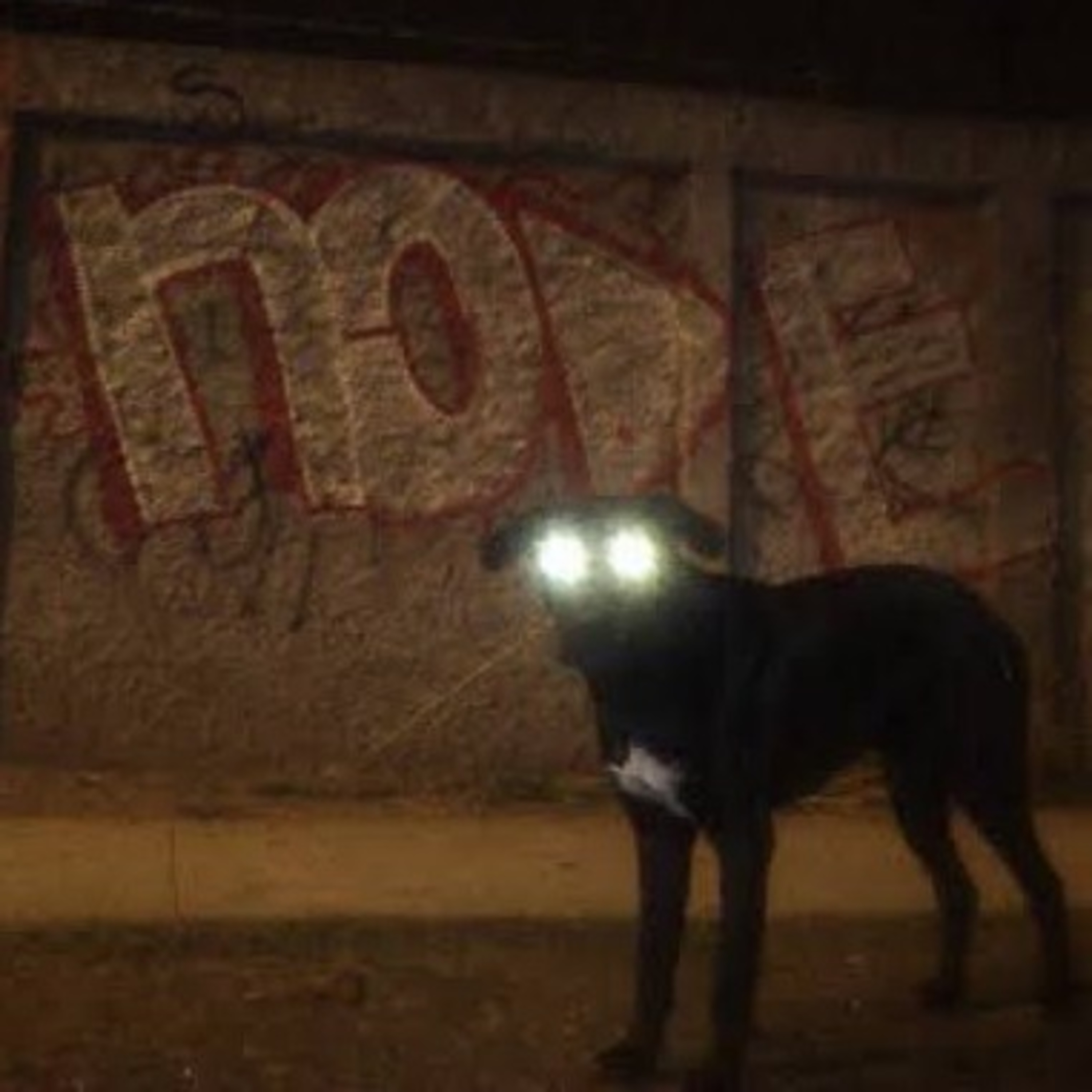 Portada de Encuentro Paranormal Mx