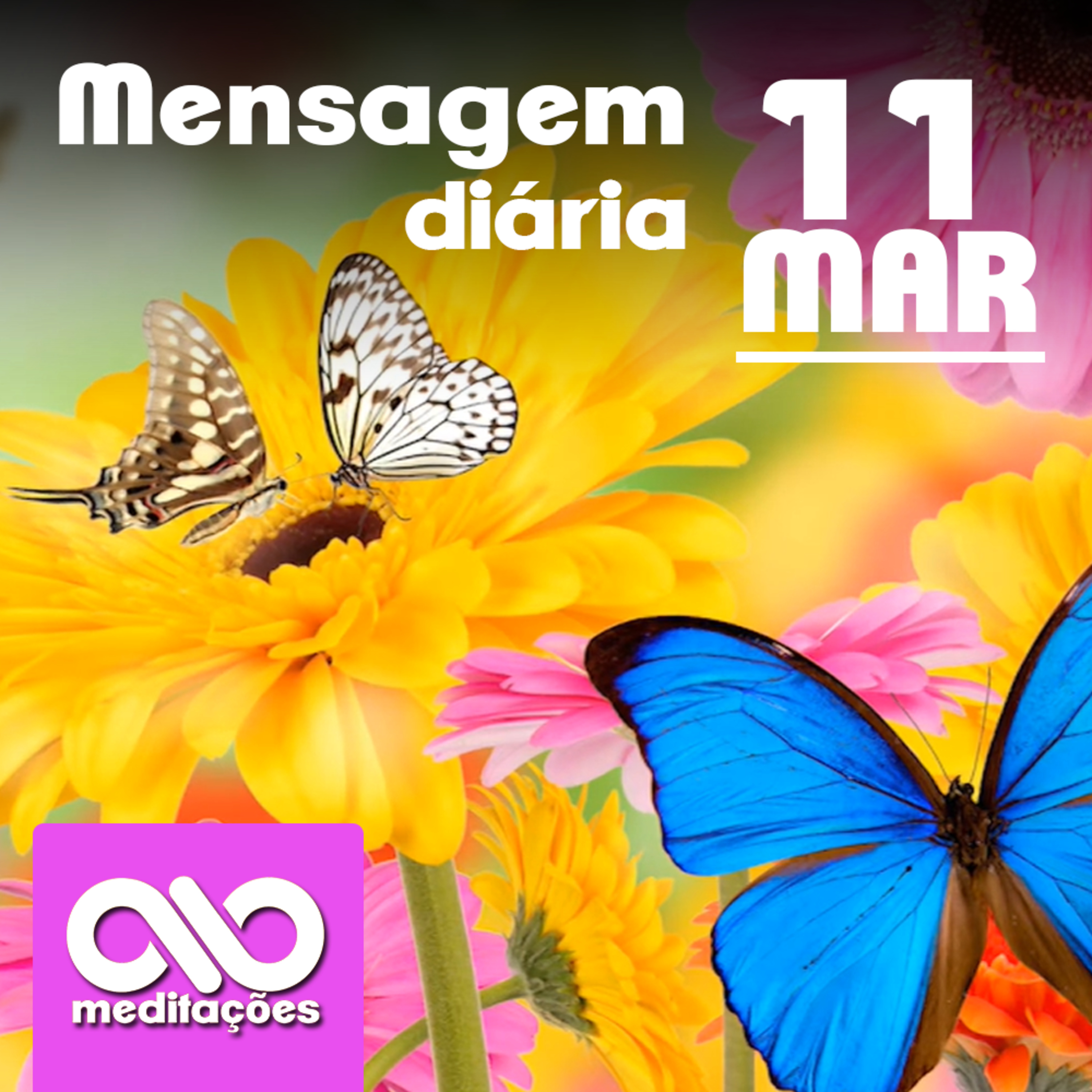 Meditações