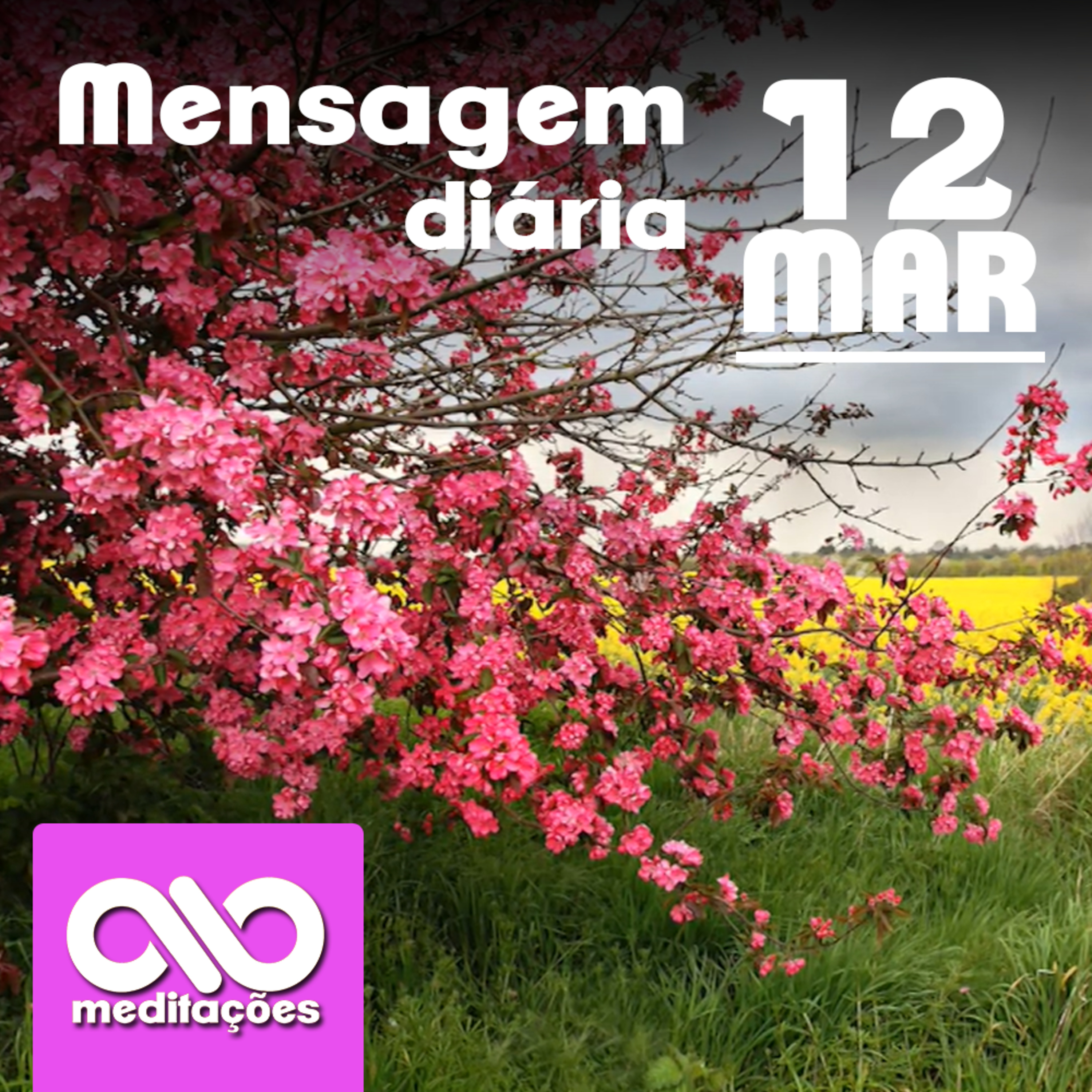 Meditações
