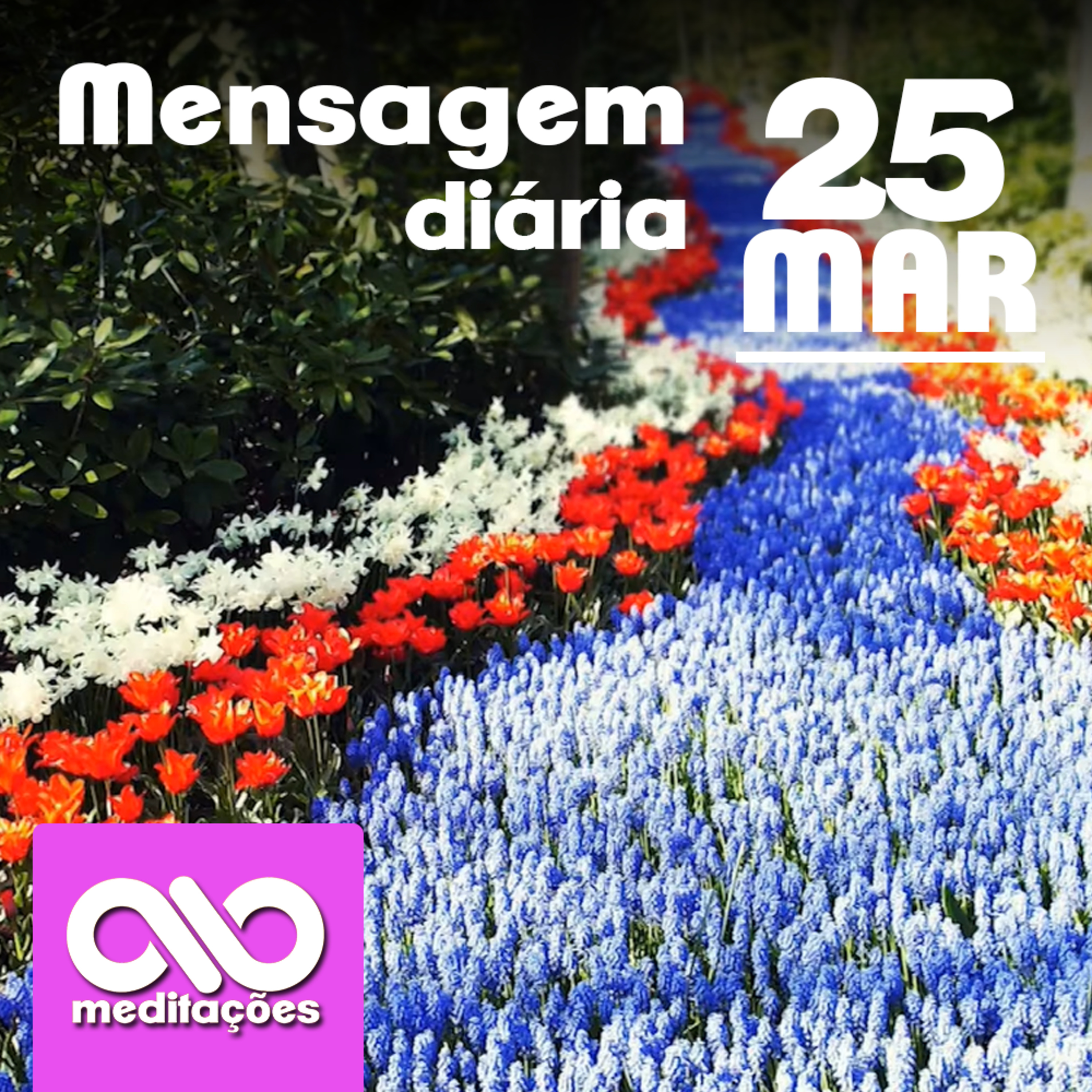 Meditações