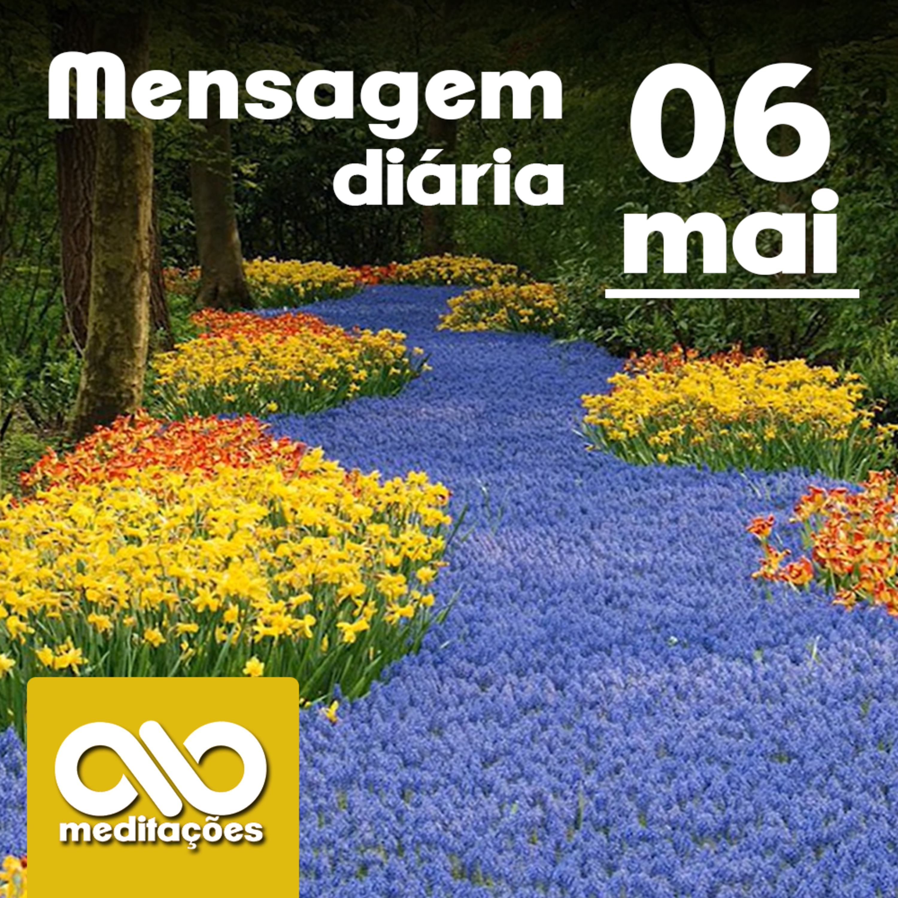 Meditações