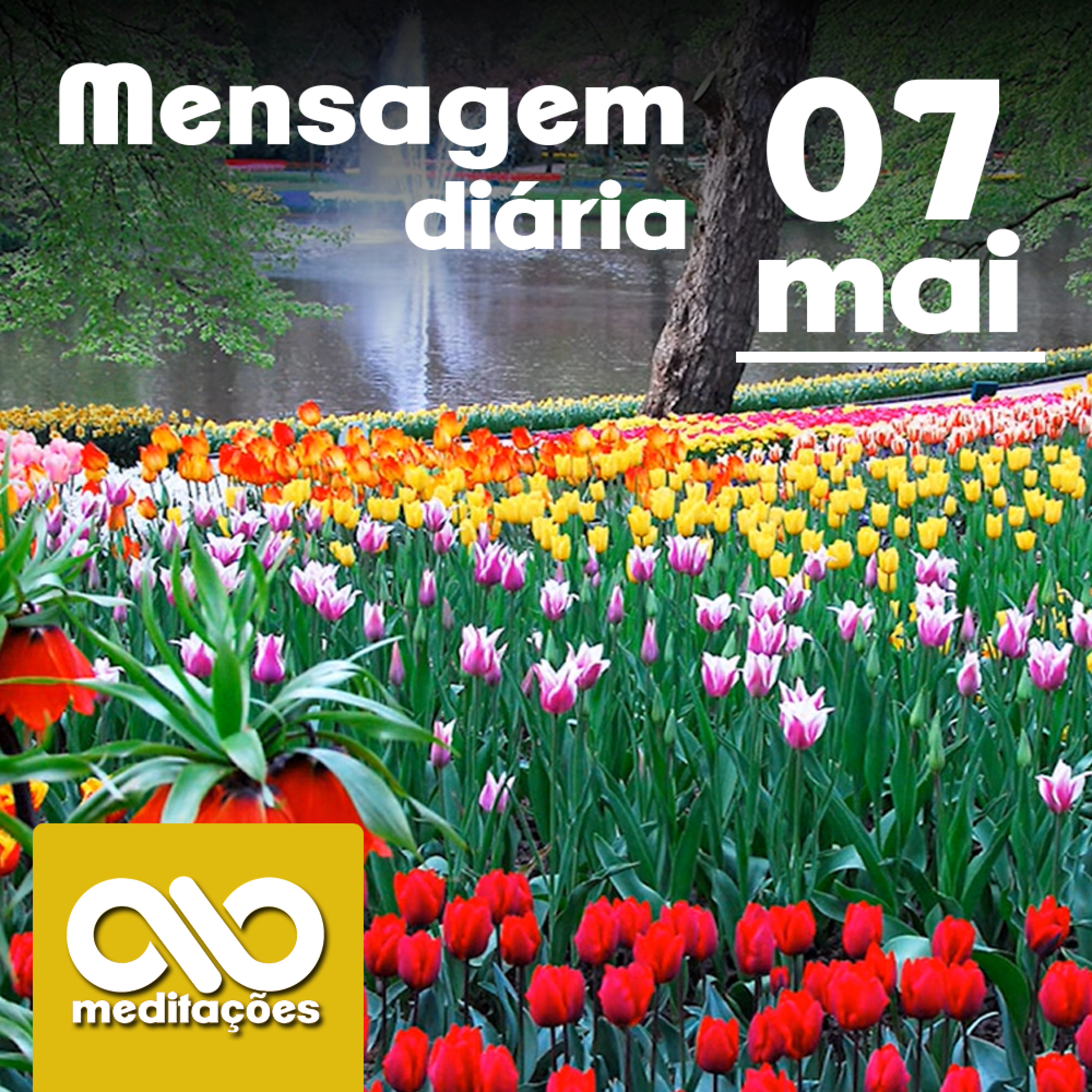 Meditações