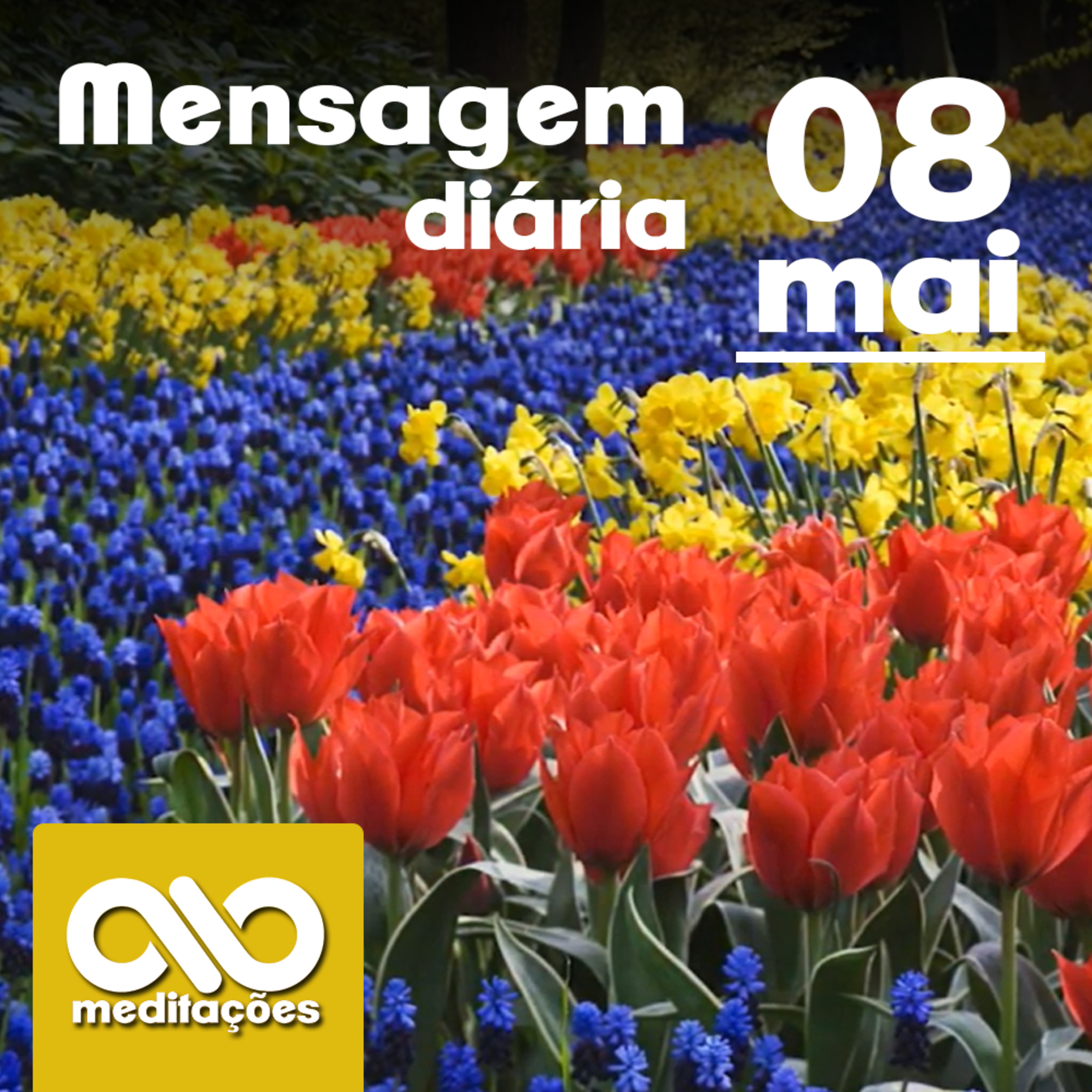Meditações