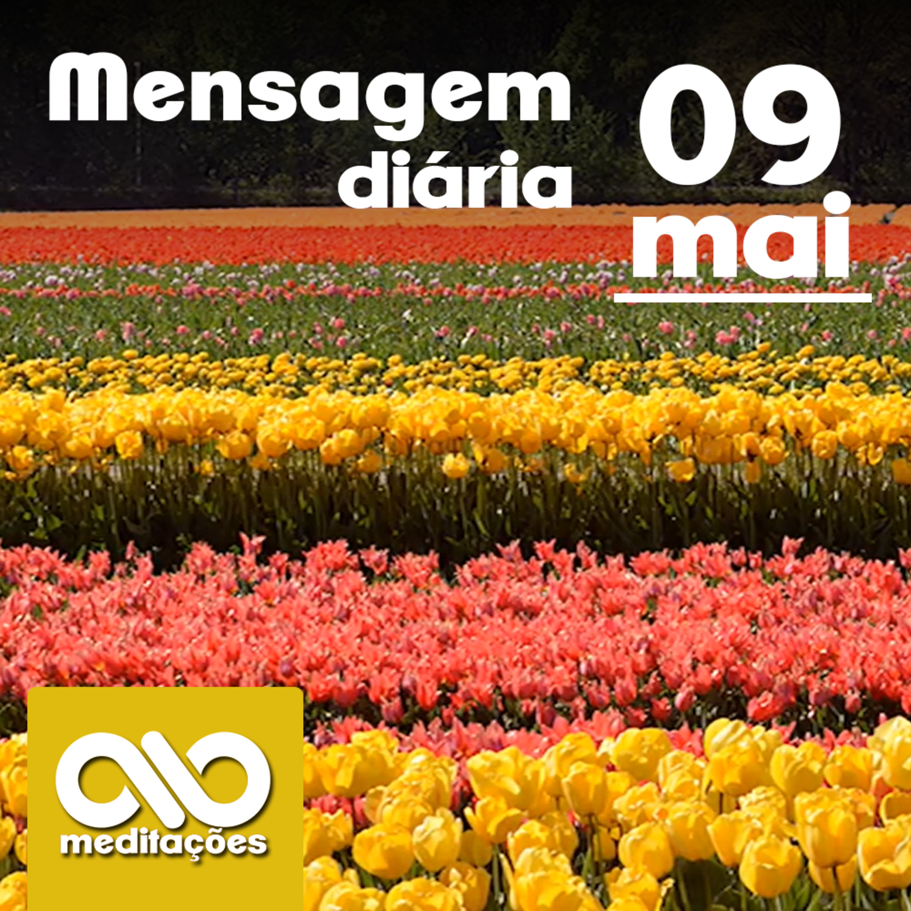 Meditações