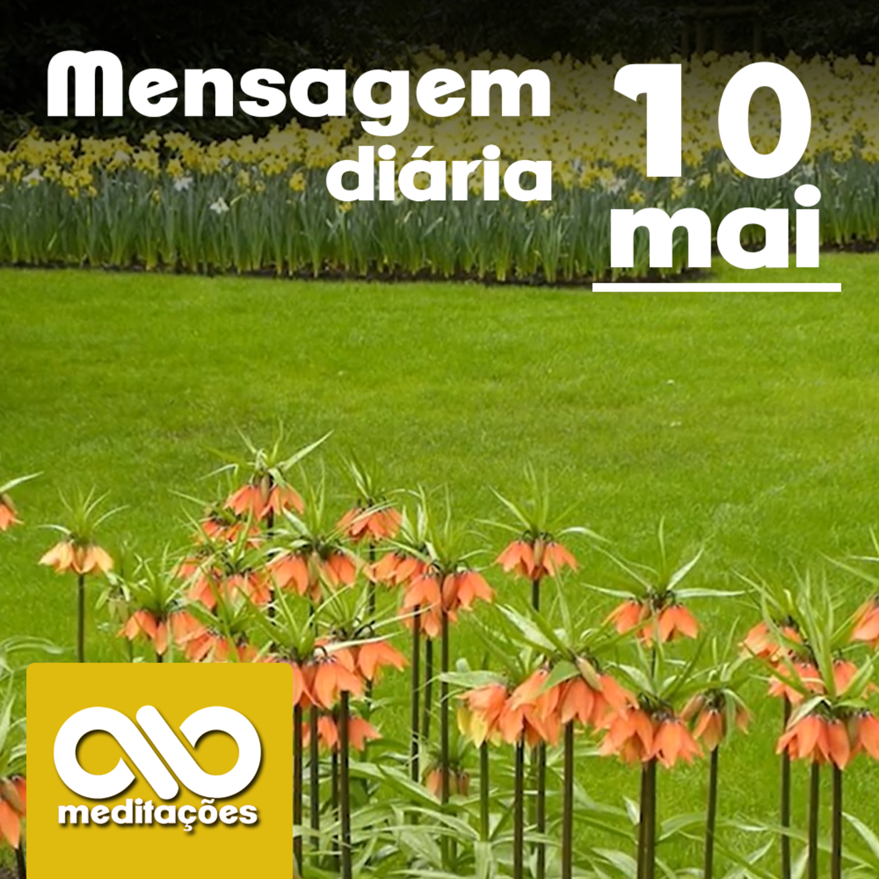 Meditações