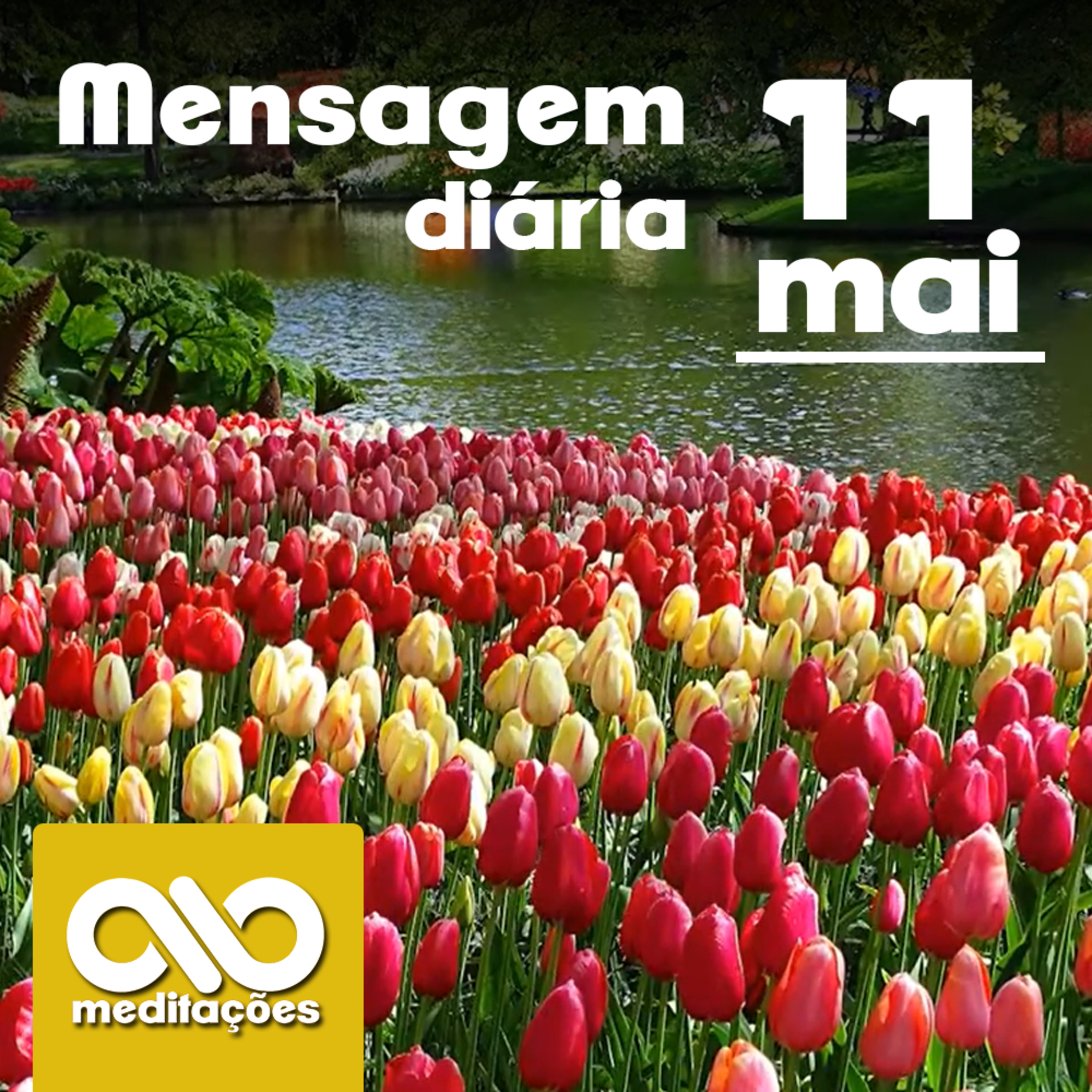 Meditações