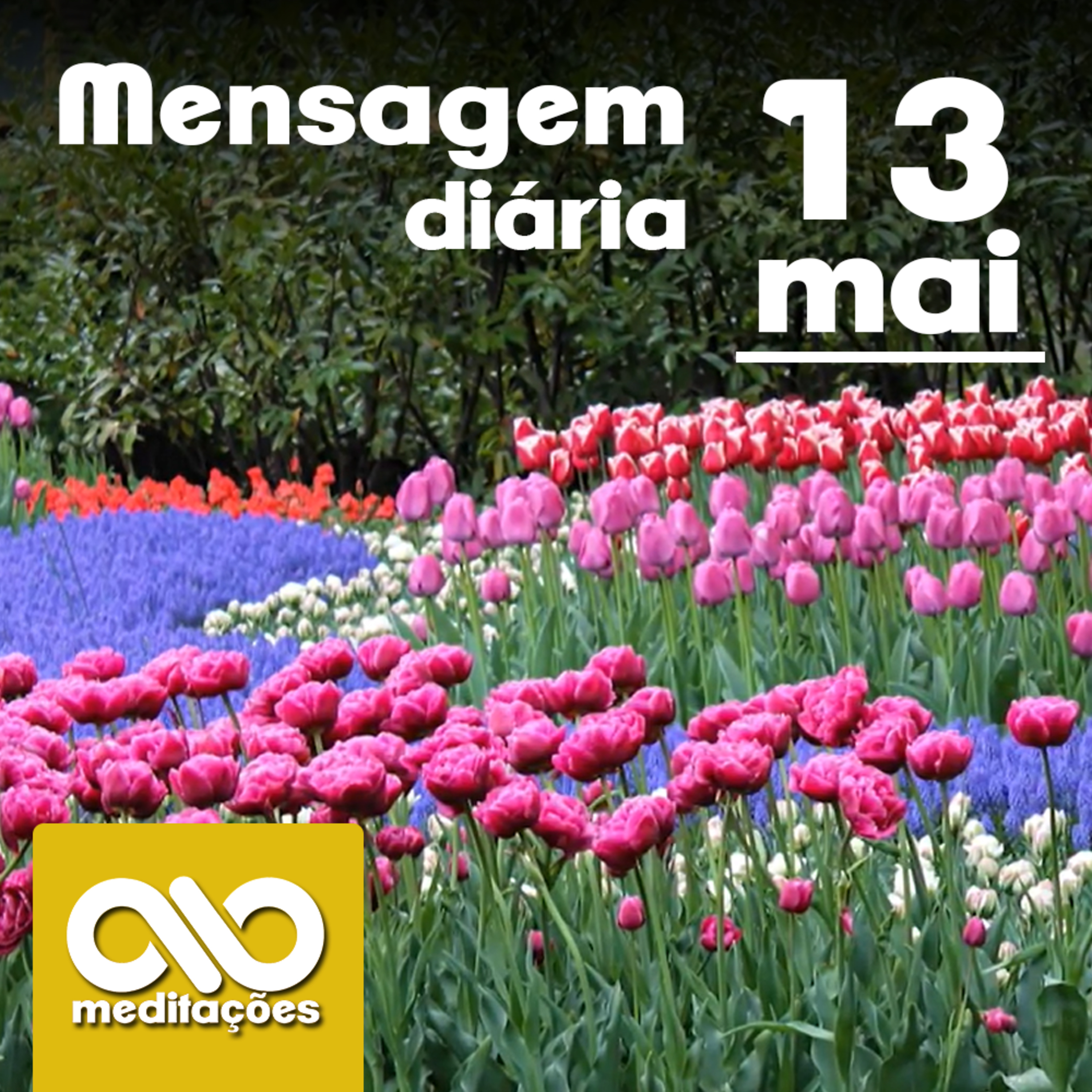 Meditações